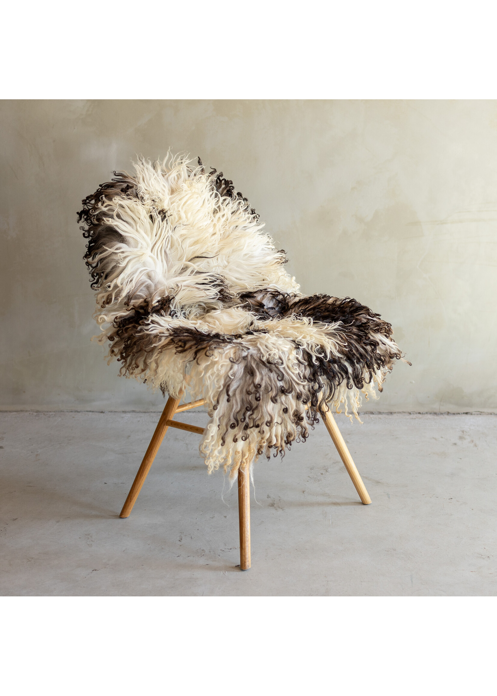 Van Buren sinds 1861 Separately photographed Curly/Mountain sheepskin - ca. 109x68cm - SVV-845