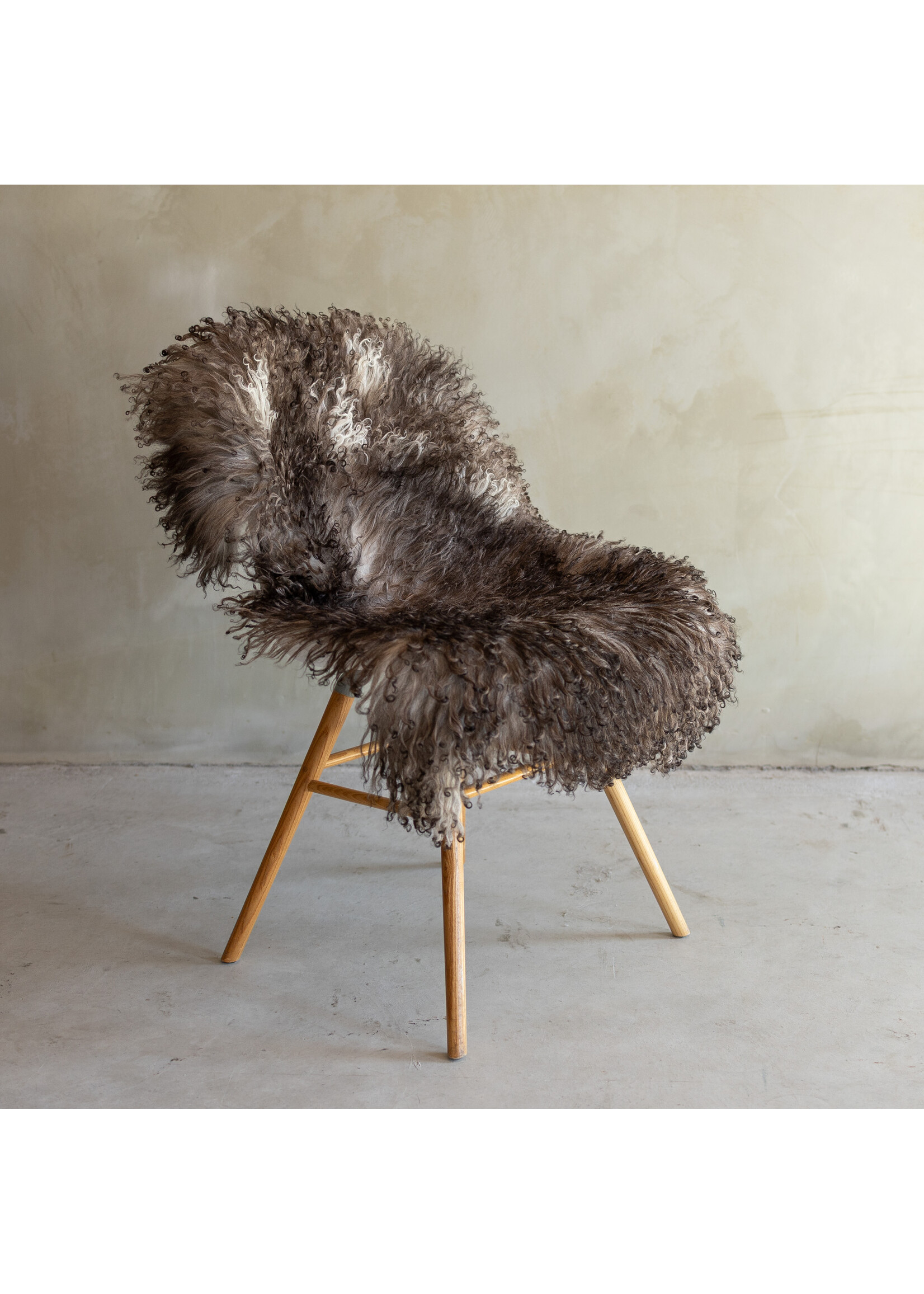 Van Buren sinds 1861 Separately photographed Curly/Mountain sheepskin - ca. 110x63cm - SVV-852