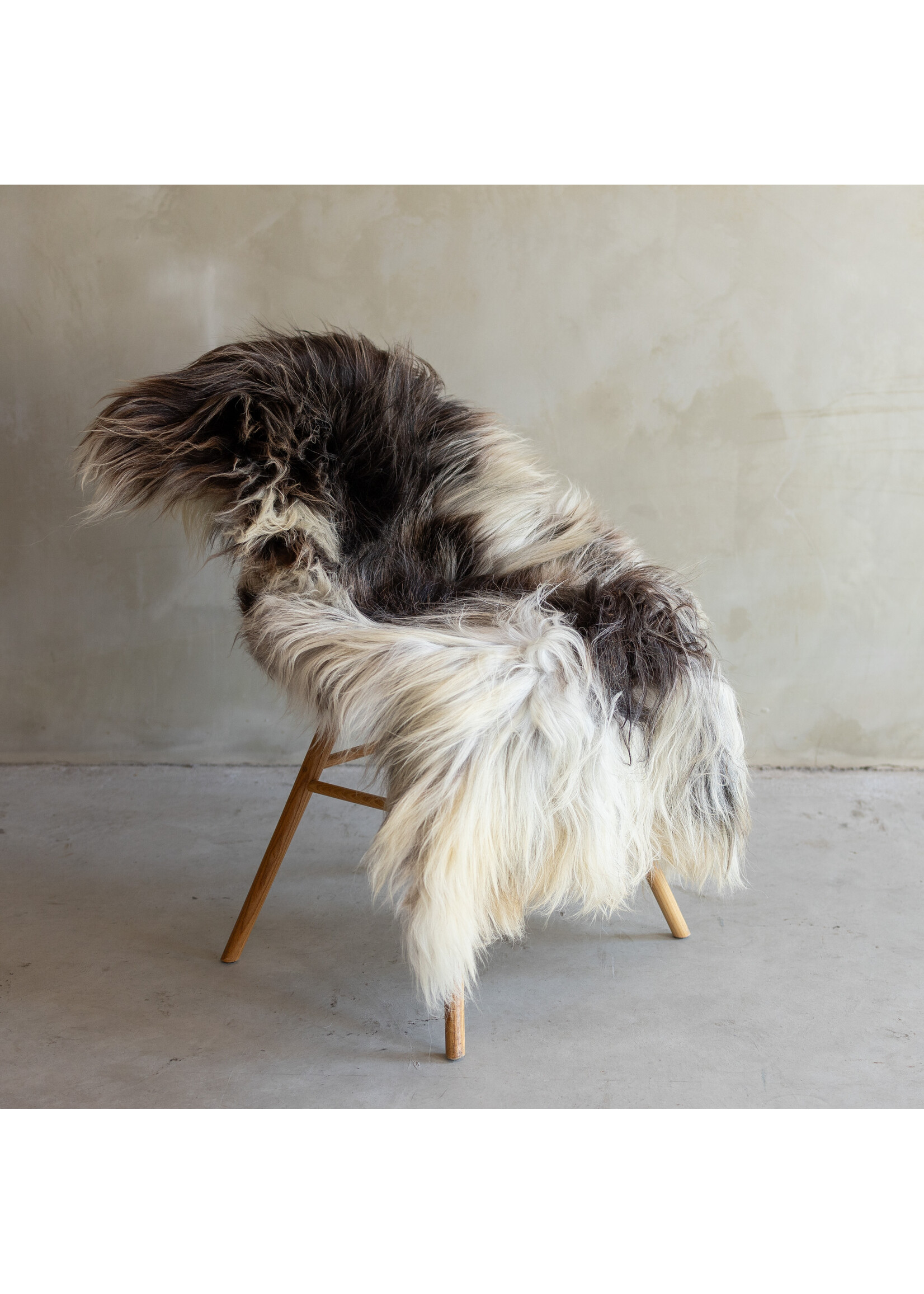 Van Buren sinds 1861 Separately photographed Heath sheepskin XXL - ca. 134x73cm - SVV-813