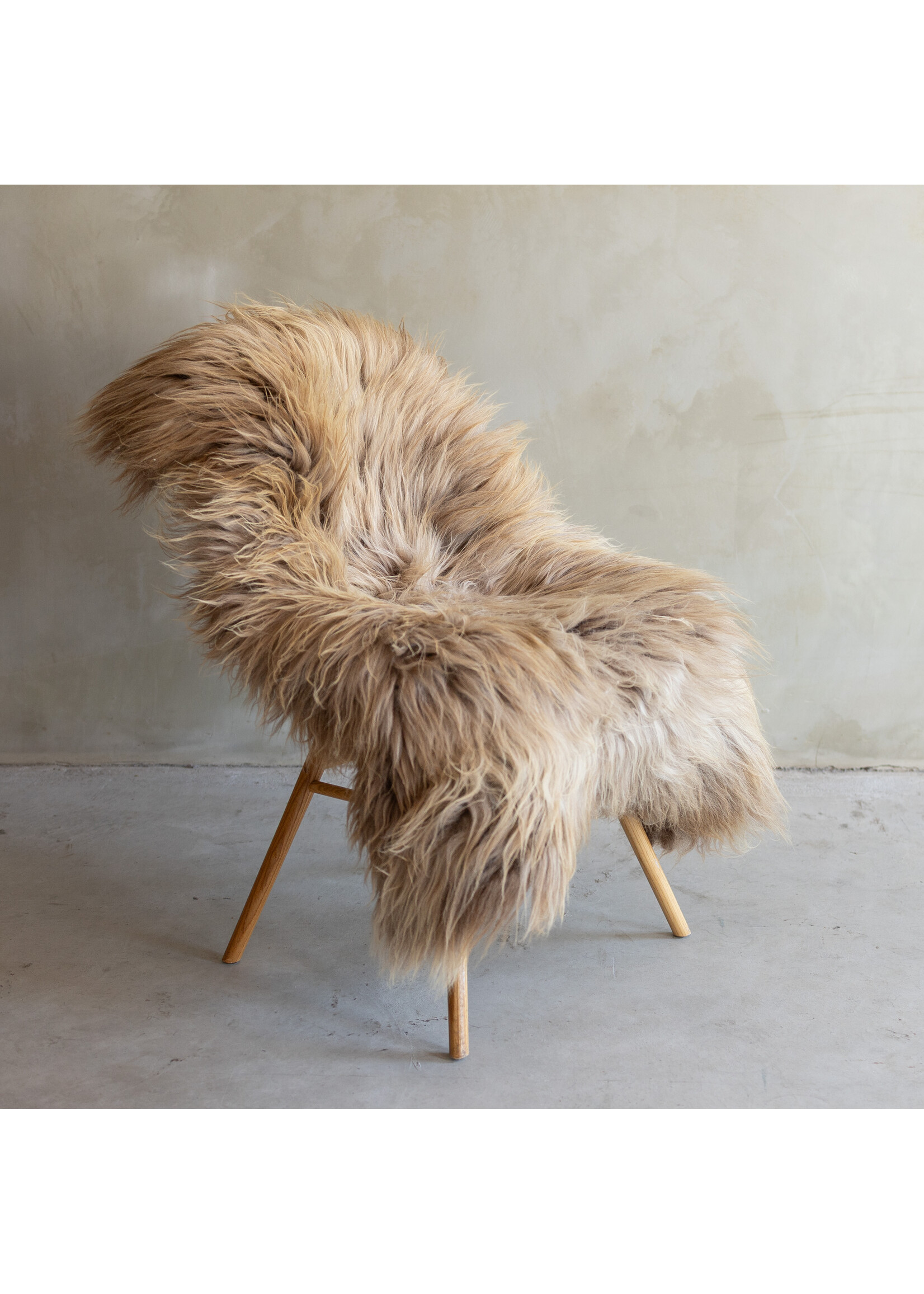 Van Buren sinds 1861 Separately photographed Heath sheepskin XXL - ca. 118x83cm - SVV-790