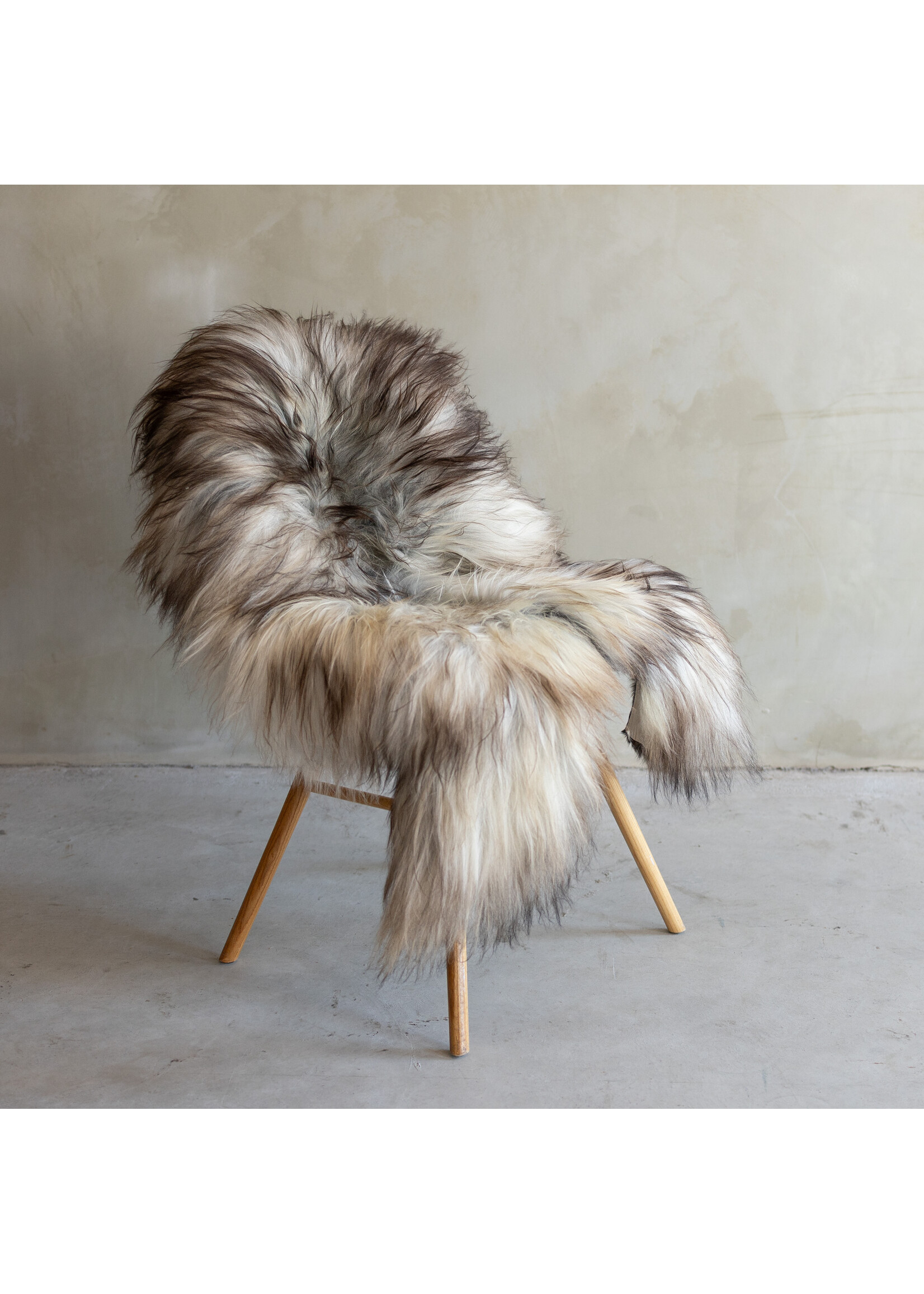 Van Buren sinds 1861 Separately photographed Icelandic natural gray sheepskin - ca. 118x70cm - SVV-762