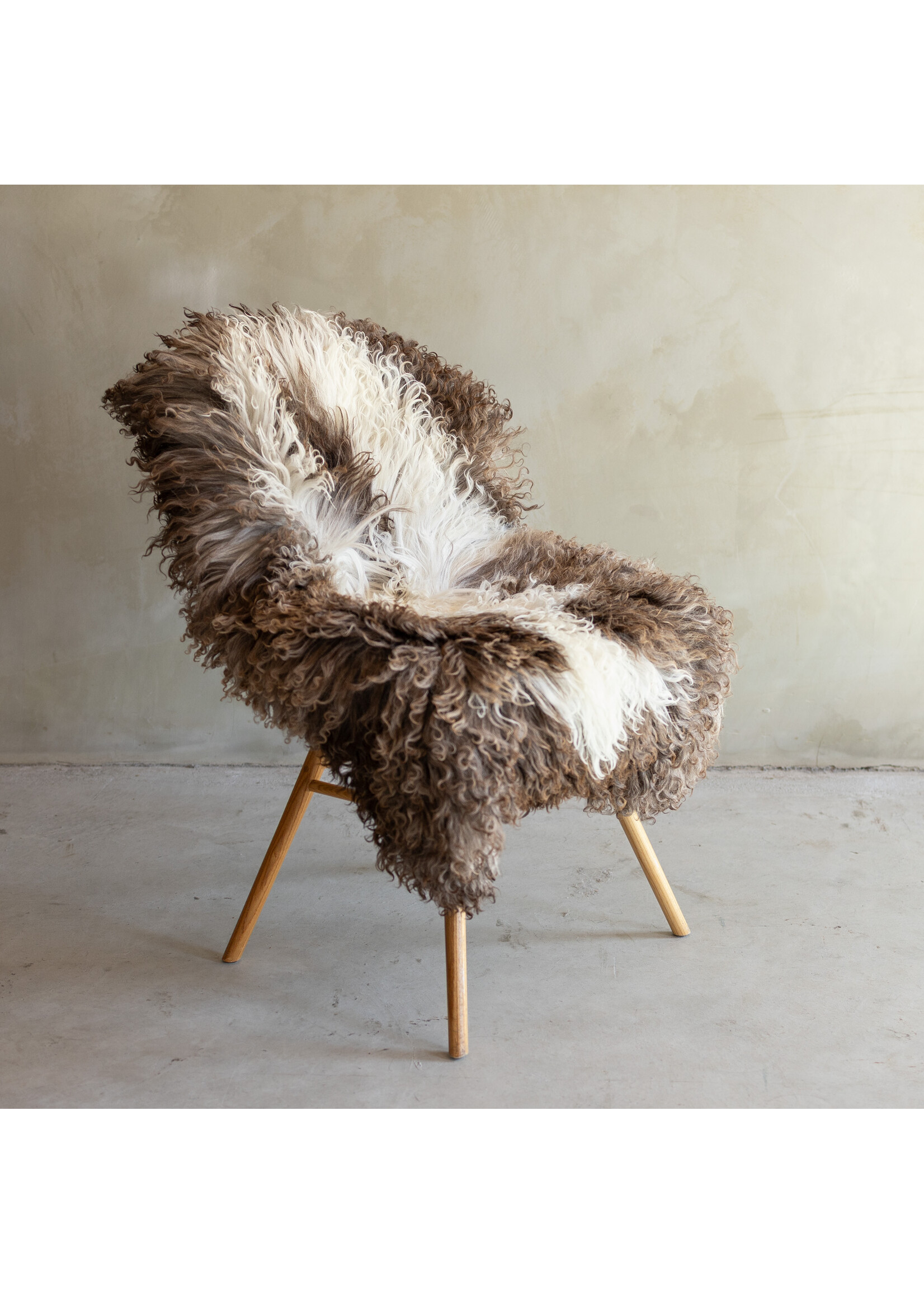 Van Buren sinds 1861 Einzigartig fotografiertes Lockig/Bergschaf schaffell - ca. 110x66cm - SVV-861