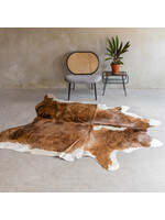 Van Buren sinds 1861 Einzigartiges Kuhfell - Exotisch - ca 240x174 cm - KH-066