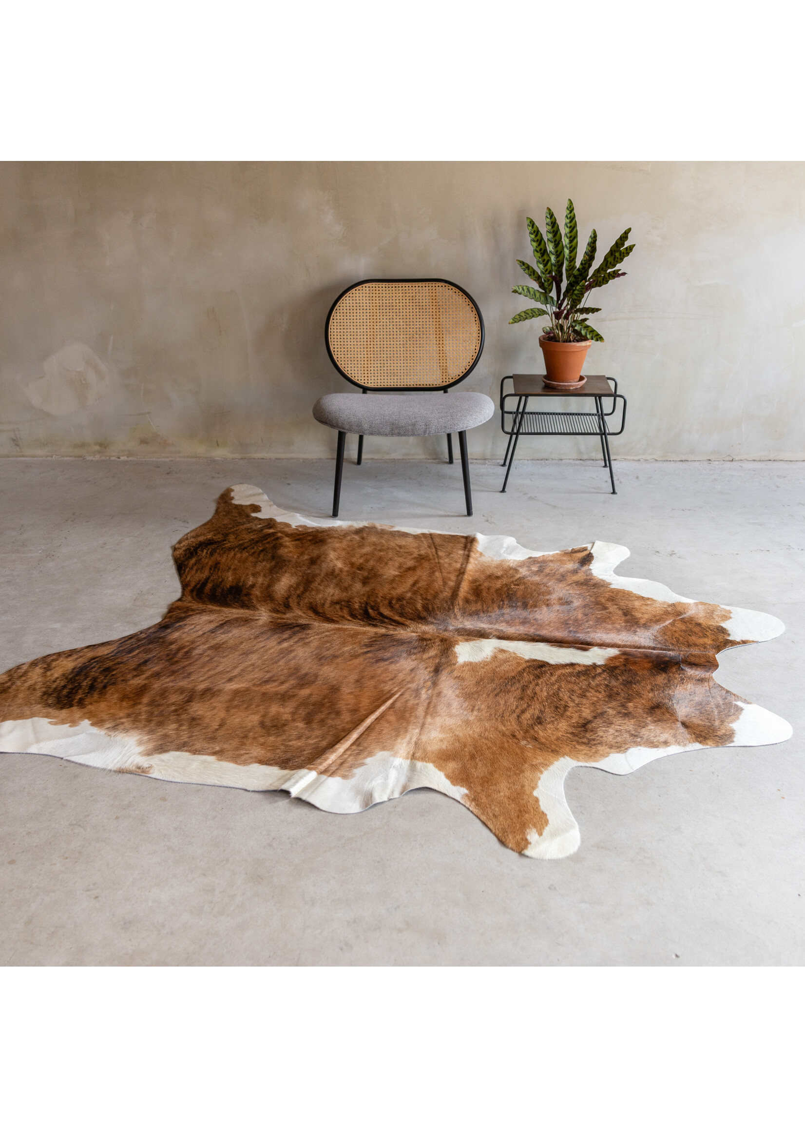 Van Buren sinds 1861 Einzeln fotografiertes exotisches Kuhfell KH-066 mit einer Größe von ca 240x174 cm (3-4m²)
