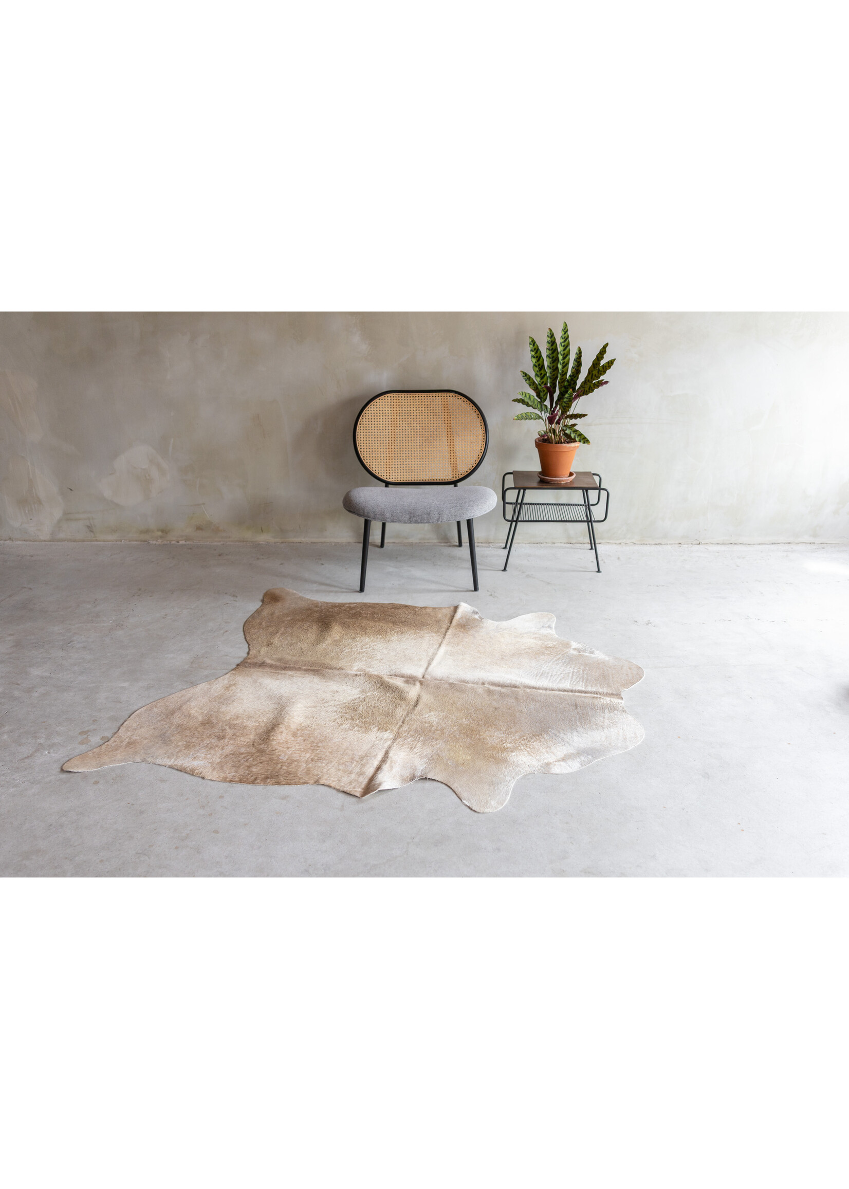 Van Buren sinds 1861 Einzeln fotografiertes gemischtes Kuhfell KH-084 mit einer Größe von ca 175x144 cm (2-3m²)
