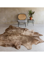 Van Buren sinds 1861 Einzigartiges Kuhfell - Champagne - ca 238x198 cm - KH-063