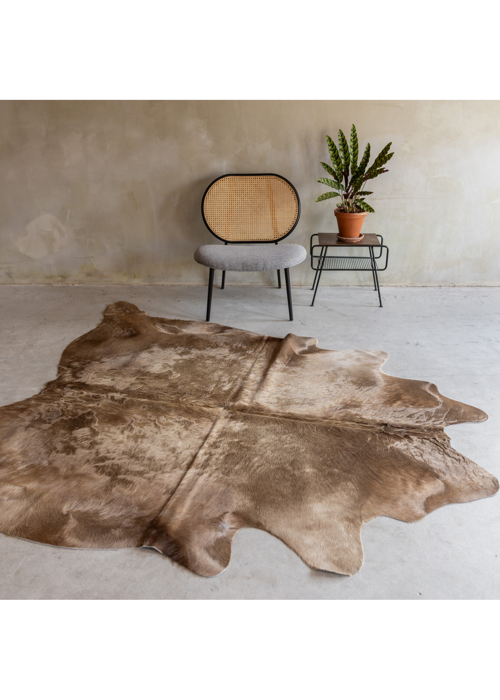 Van Buren sinds 1861 Einzeln fotografiertes champagnefarbenes Kuhfell KH-063 mit einer Größe von ca 238x198 cm (3-4m²)
