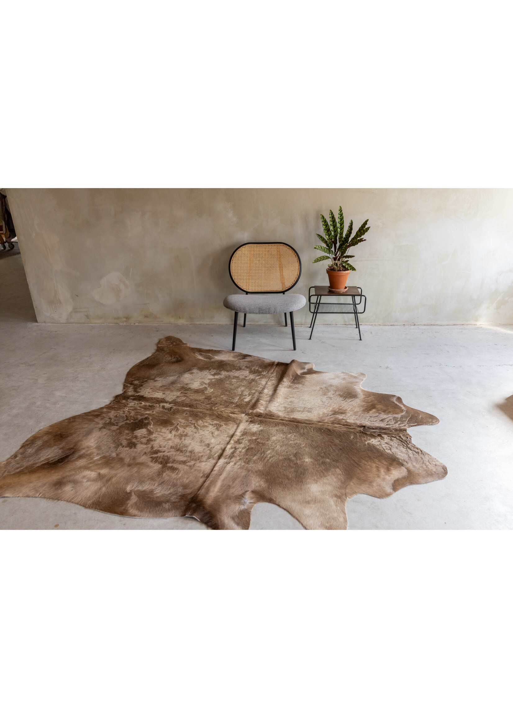 Van Buren sinds 1861 Uniek gefotografeerd champagne koeienhuid KH-063 met een afmeting van ca. 238x198cm (3-4m²)