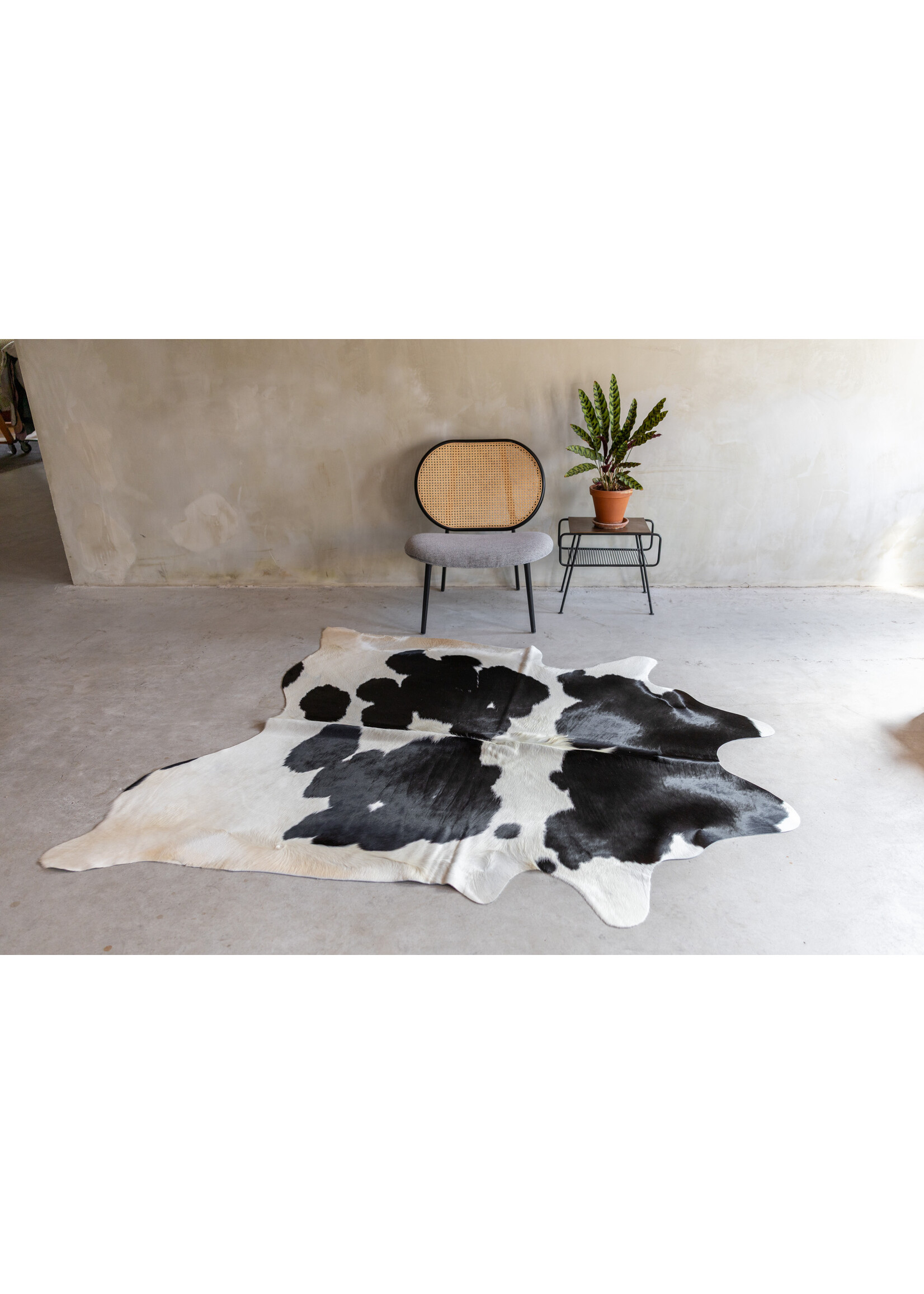 Van Buren sinds 1861 Einzeln fotografiertes schwarzbuntes Kuhfell KH-051 mit einer Größe von ca 210x180 cm (3-4m²)