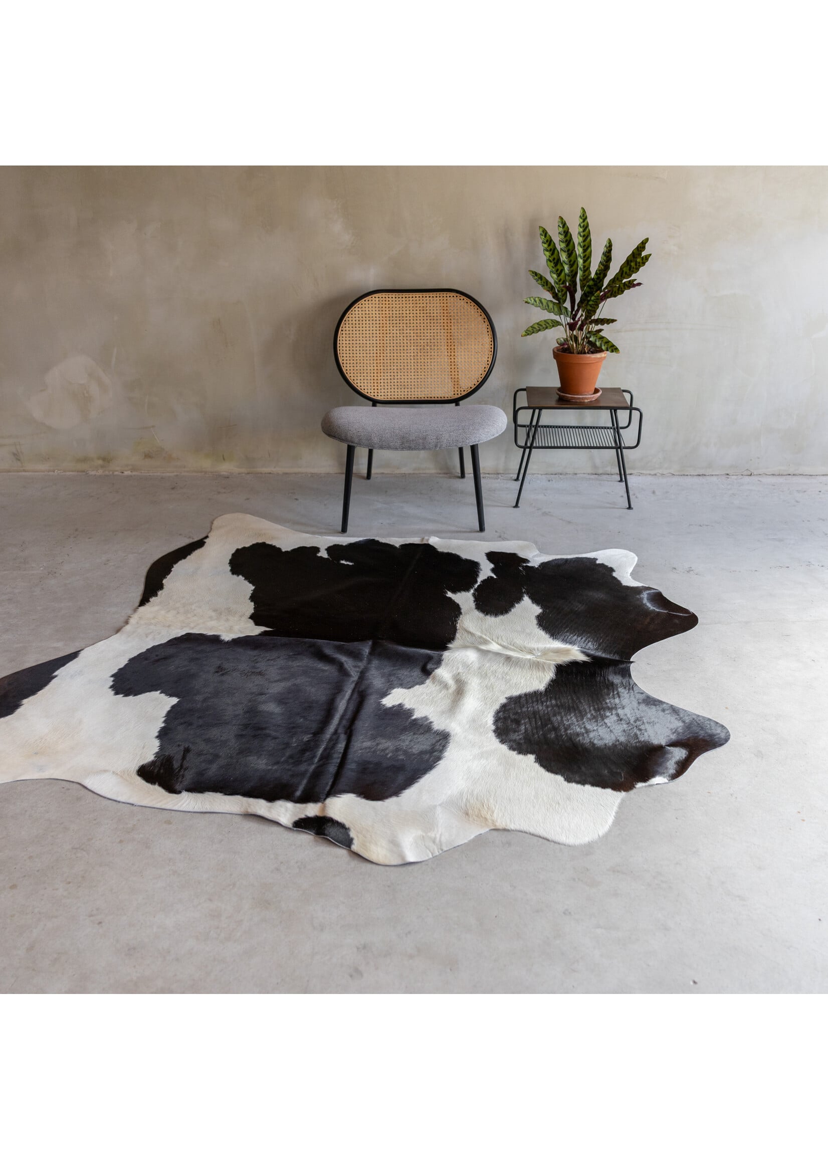 Van Buren sinds 1861 Uniek gefotografeerd zwartbonte koeienhuid KH-052 met een afmeting van ca. 205x173cm (3-4m²)