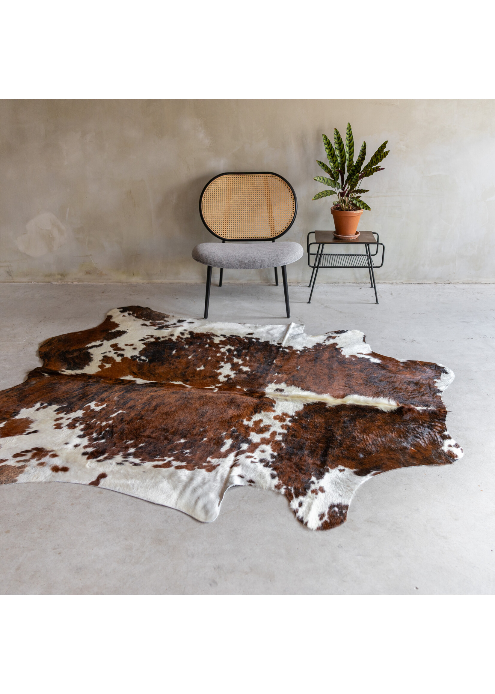 Van Buren sinds 1861 Uniek gefotografeerd driekleur koeienhuid KH-057 met een afmeting van ca. 230x174cm (3-4m²)
