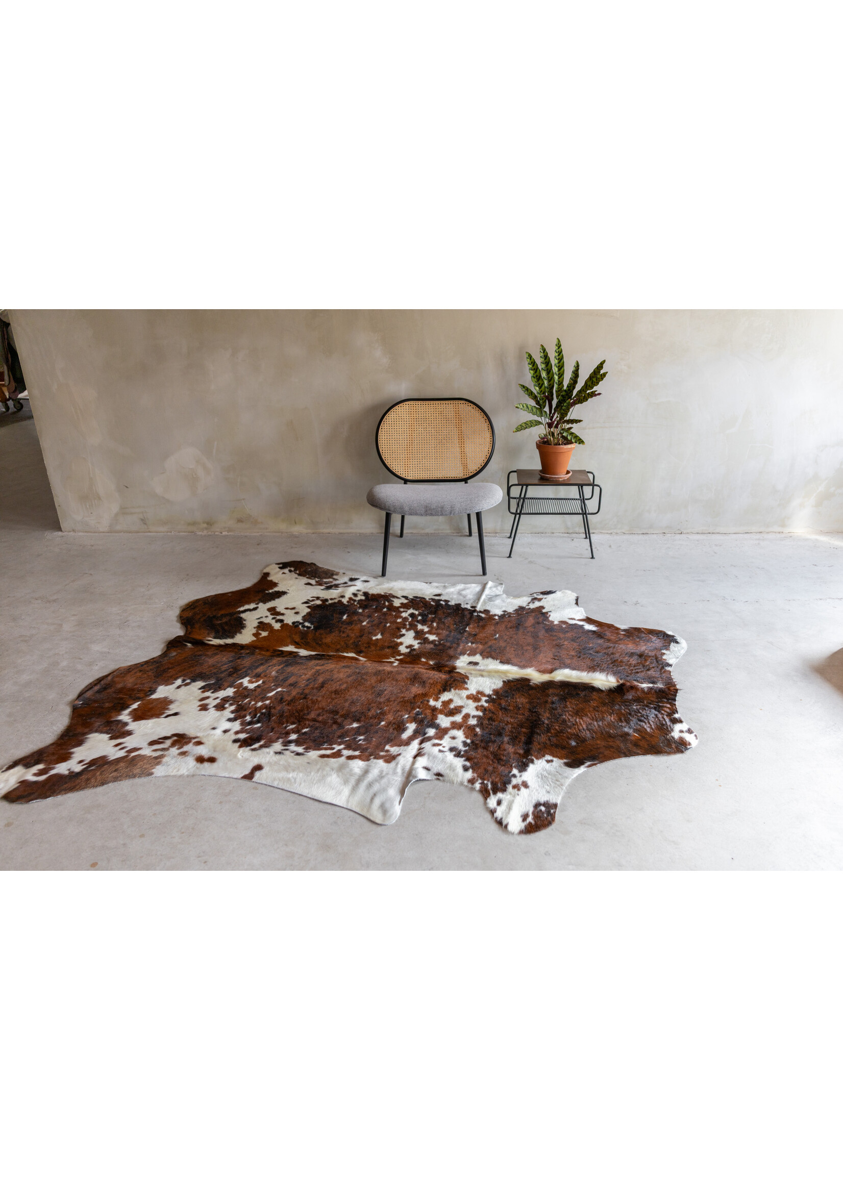 Van Buren sinds 1861 Uniek gefotografeerd driekleur koeienhuid KH-057 met een afmeting van ca. 230x174cm (3-4m²)
