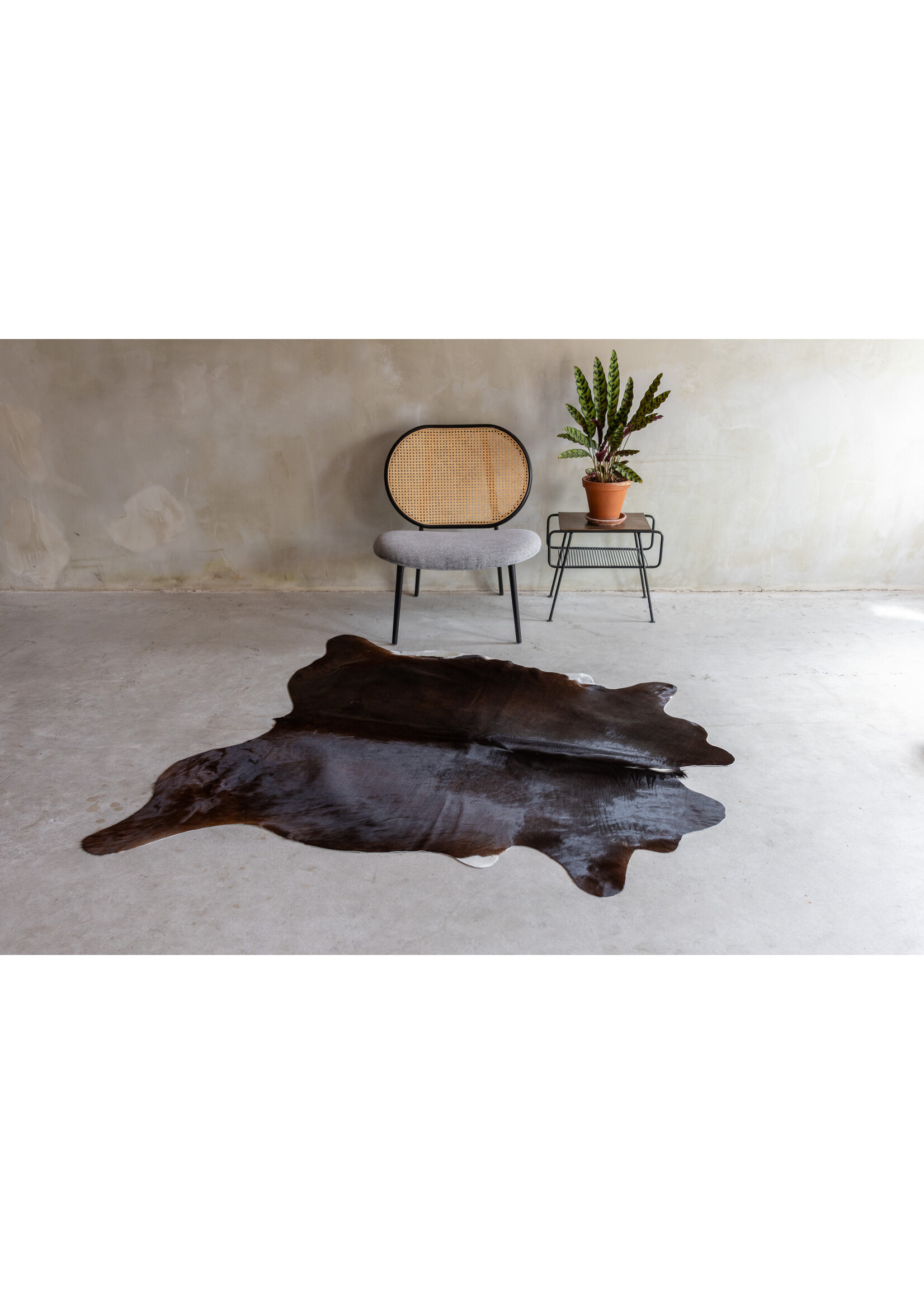 Van Buren sinds 1861 Einzeln fotografiertes gemischtes Kuhfell KH-076 mit einer Größe von ca 178x145 cm (2-3m²)