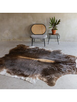 Van Buren sinds 1861 Einzigartiges Kuhfell - Champagne - ca 244x188 cm - KH-061