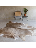 Van Buren sinds 1861 Einzigartiges Kuhfell - Champagne - ca 230x188 cm - KH-062