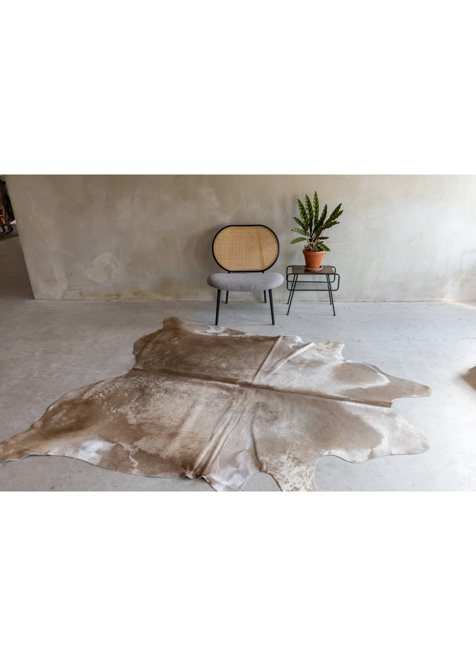 Van Buren sinds 1861 Uniek gefotografeerd champagne koeienhuid KH-062 met een afmeting van ca. 230x188cm (3-4m²)