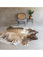 Van Buren sinds 1861 Einzigartiges Kuhfell - Exotisch - ca 223x185 cm - KH-065