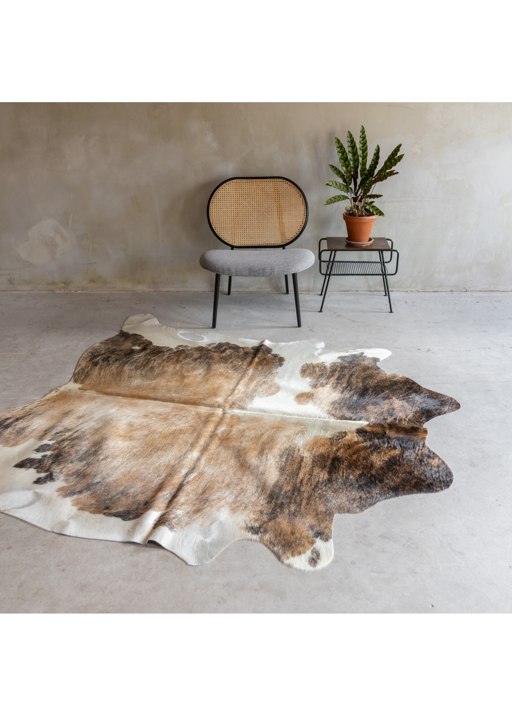 Van Buren sinds 1861 Einzeln fotografiertes exotisches Kuhfell KH-065 mit einer Größe von ca 223x185 cm (3-4m²)
