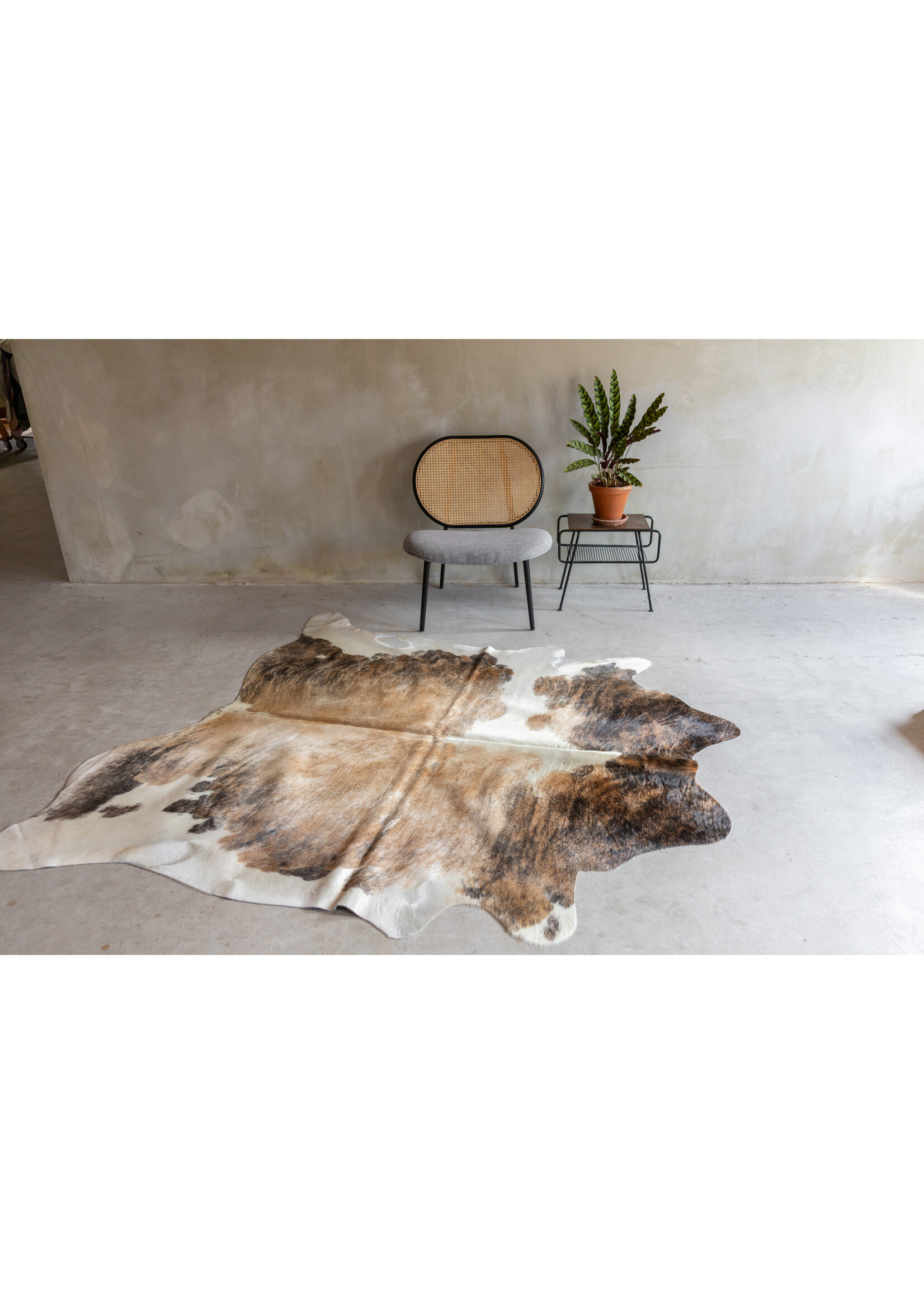 Van Buren sinds 1861 Einzeln fotografiertes exotisches Kuhfell KH-065 mit einer Größe von ca 223x185 cm (3-4m²)