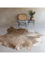 Van Buren sinds 1861 Unieke Koeienhuid - Champagne - ca. 222x195cm - KH-060