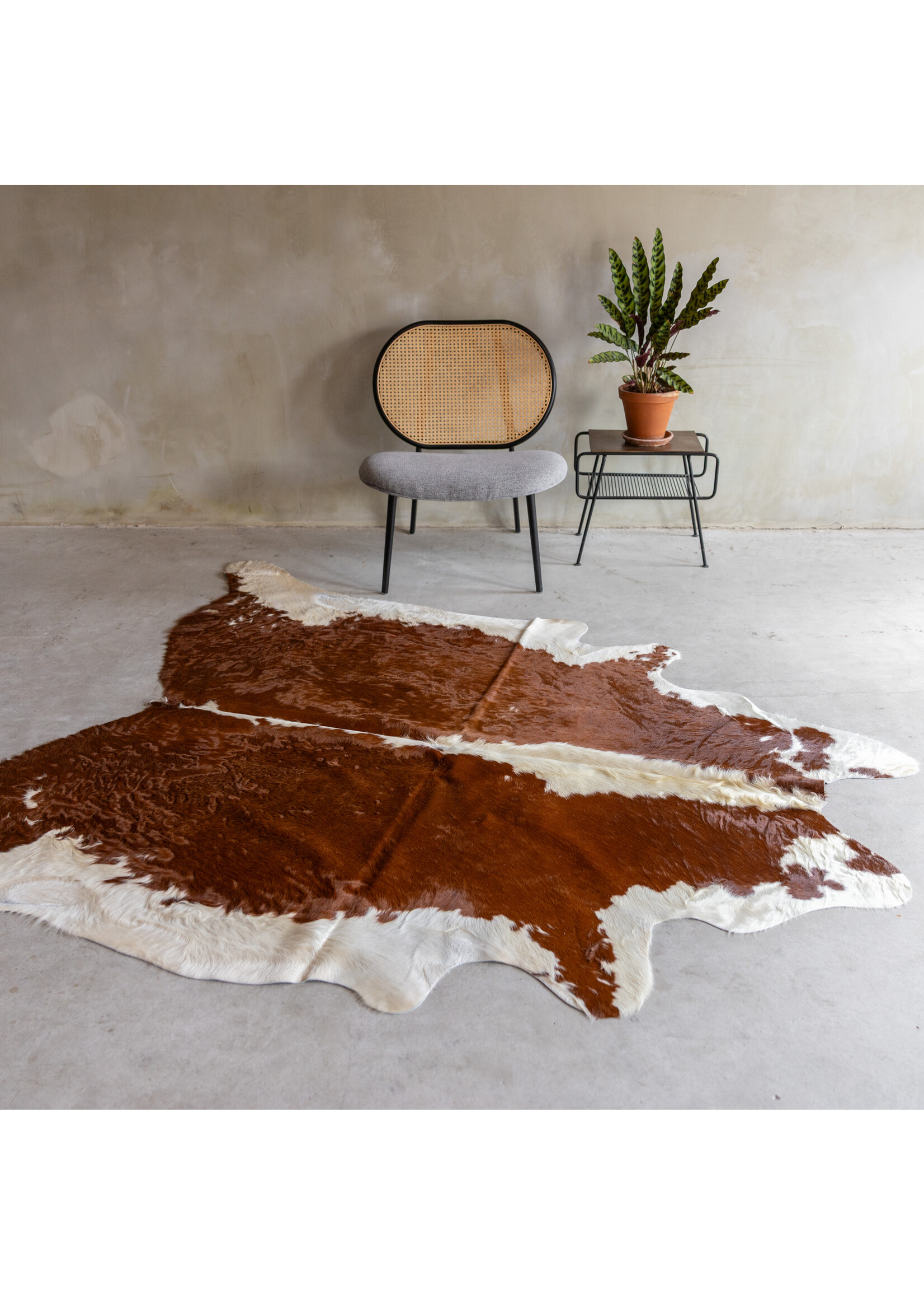 Van Buren sinds 1861 Einzeln fotografiertes rotbuntes Kuhfell KH-074 mit einer Größe von ca 230x183 cm (3-4m²)