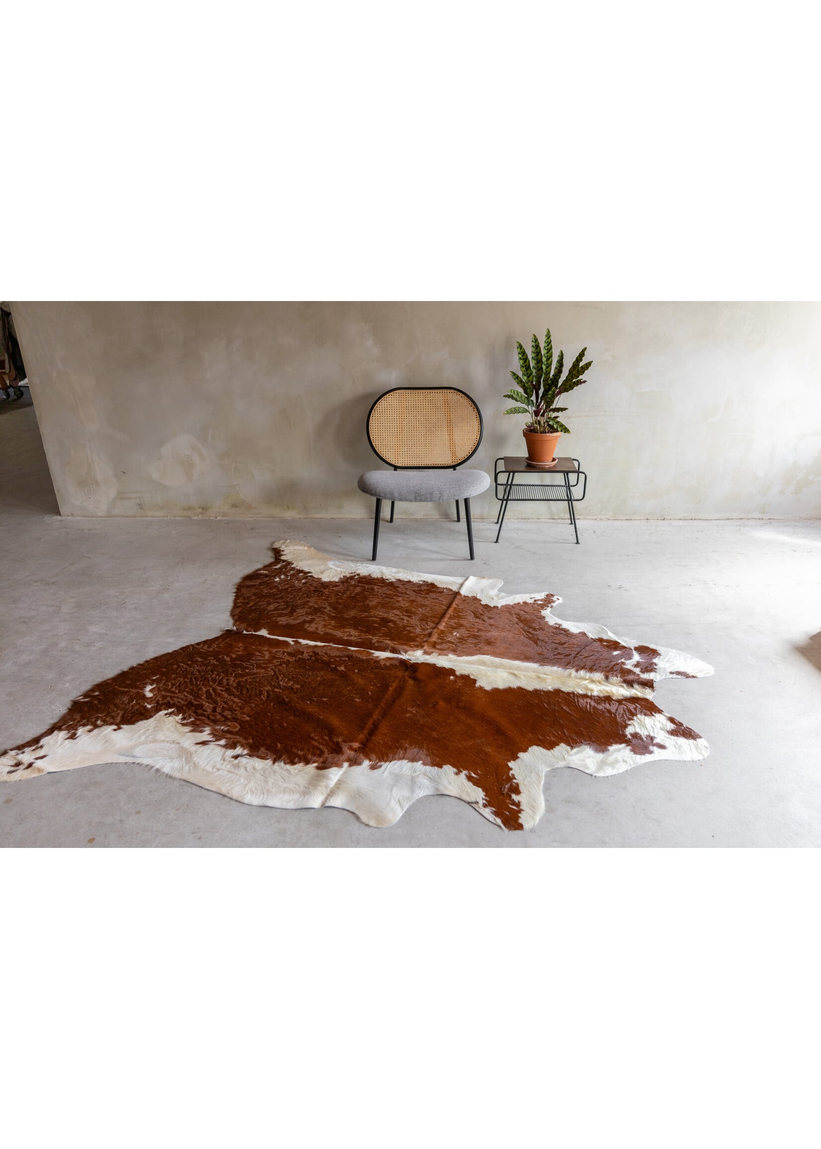 Van Buren sinds 1861 Uniek gefotografeerd roodbonte koeienhuid KH-074 met een afmeting van ca. 230x183cm (3-4m²)