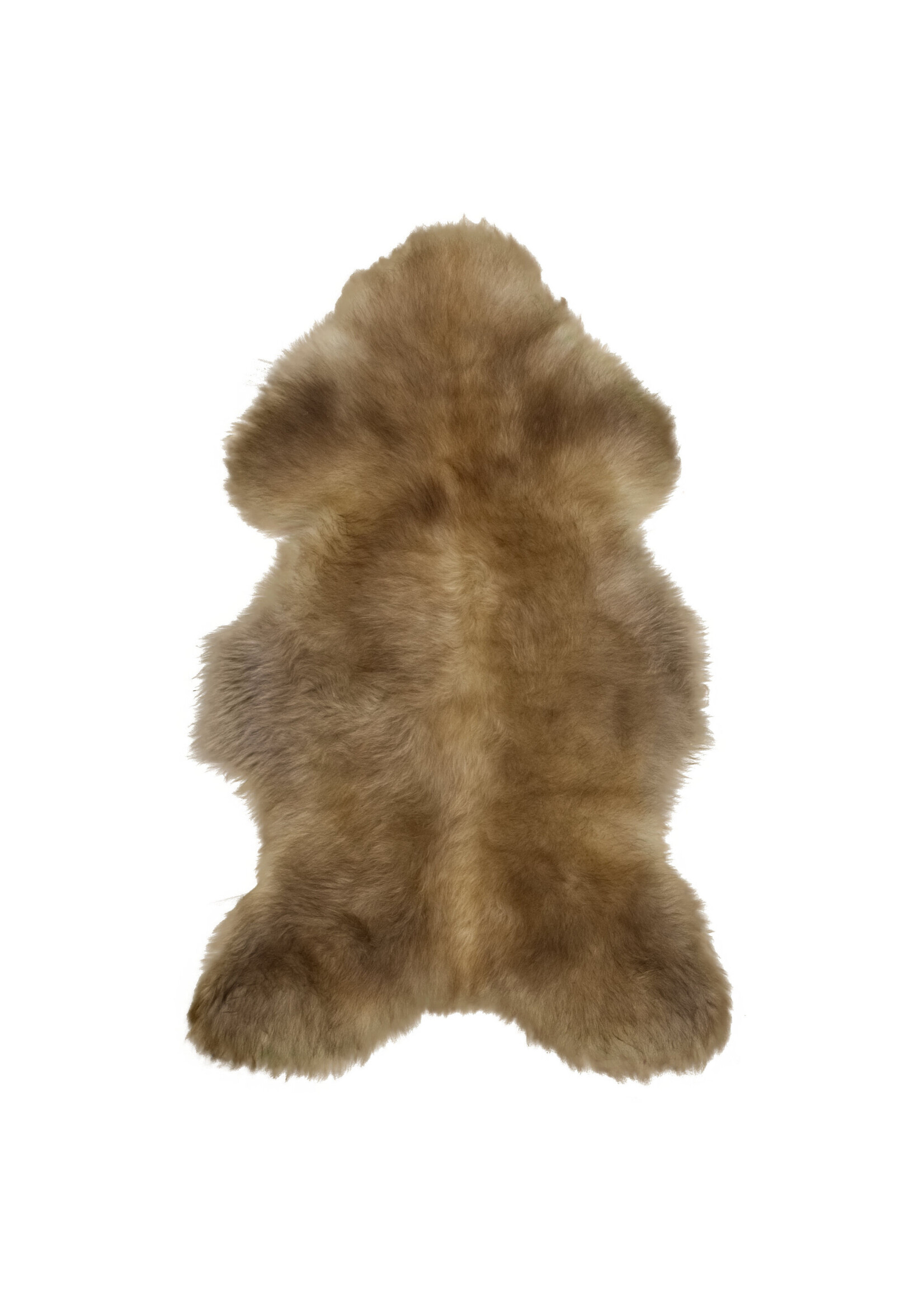 Van Buren sinds 1861 Duitse Zwartkop  - Maat: Extra Groot (100-110 x 55-65 cm)