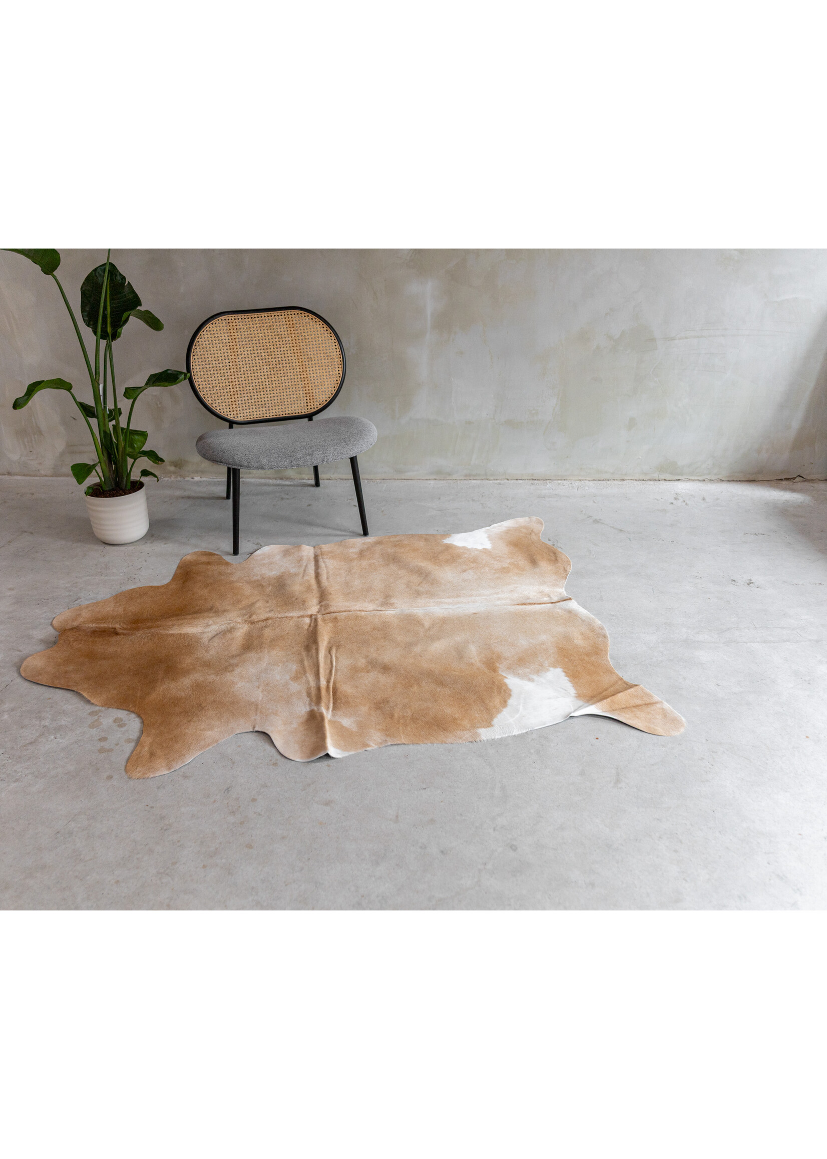 Van Buren sinds 1861 Kuhfell Assortiert - GR2 - 190x124 cm - KH-108