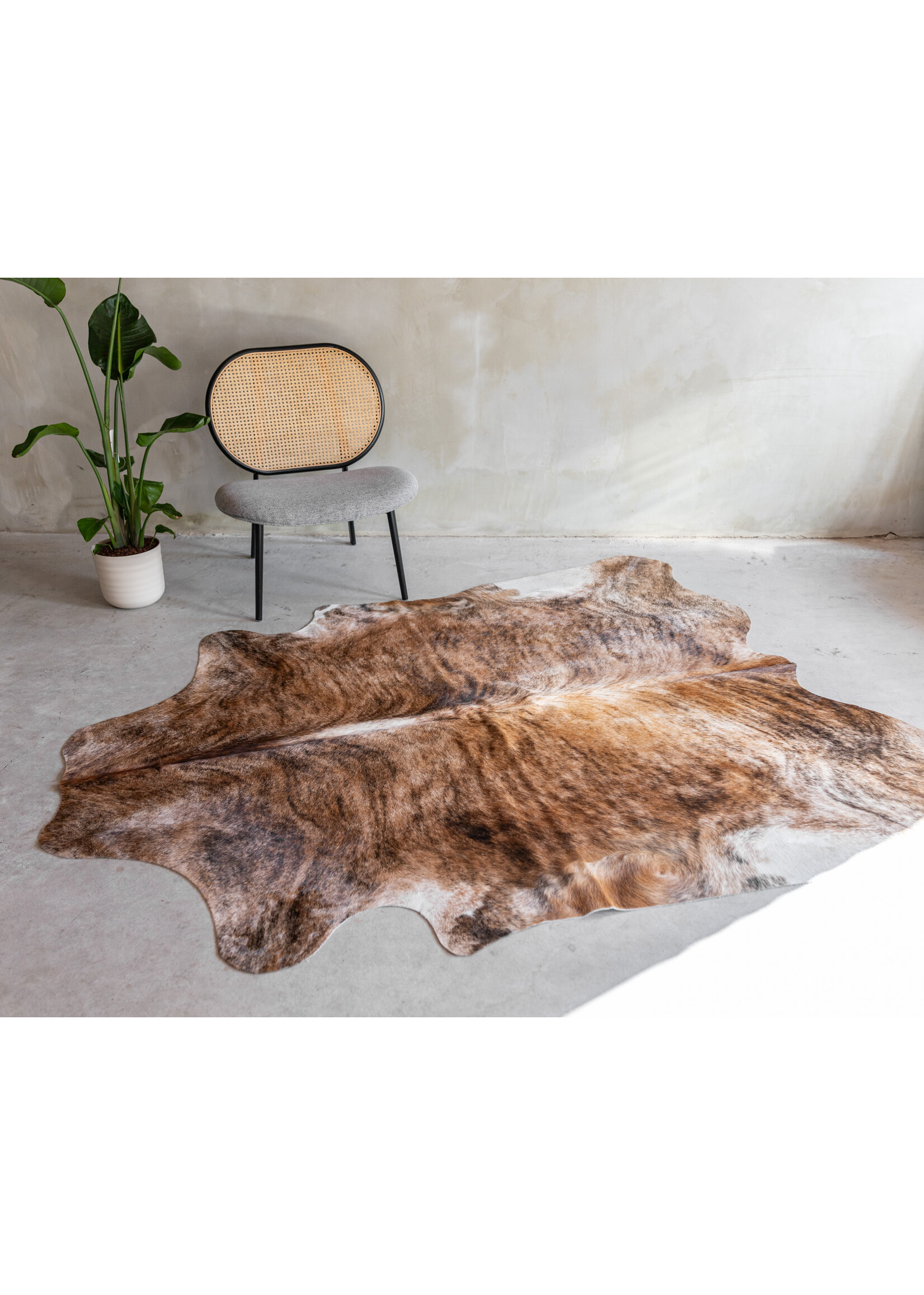 Van Buren sinds 1861 Kuhfell Dreifarbig - GR1 - 215x180 cm - KH-089
