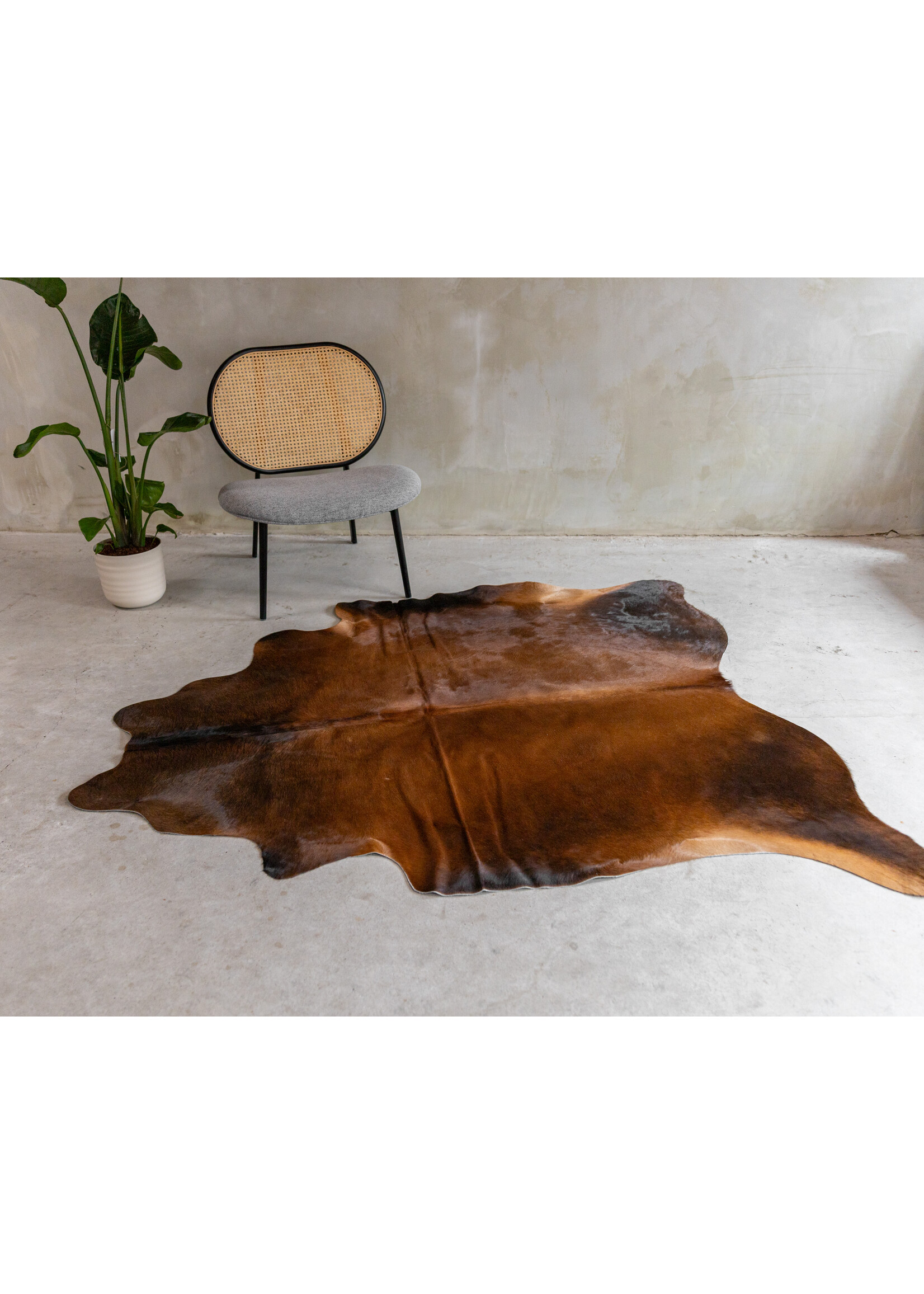 Van Buren sinds 1861 Koeienhuid Assorted - GR2 (2-3m²) - 190x172 cm - KH-113