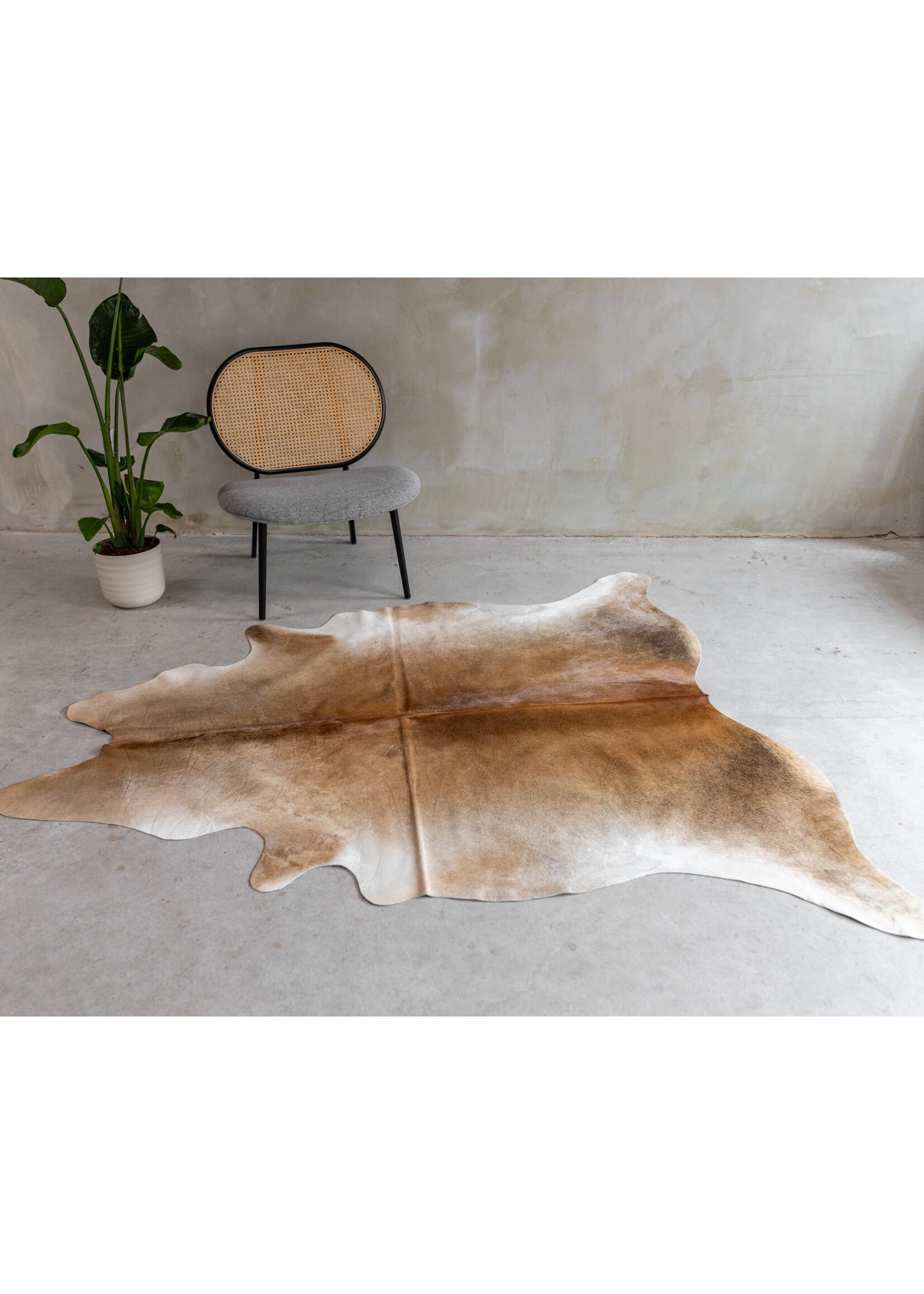 Van Buren sinds 1861 Kuhfell Assortiert - GR2 - 195x170 cm - KH-114