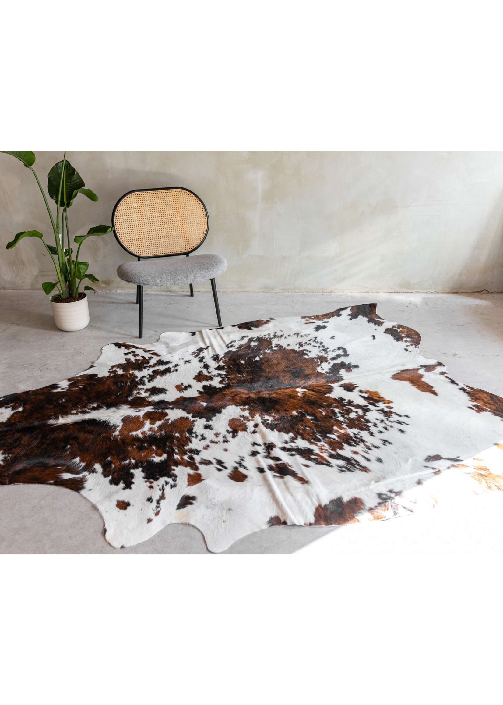 Van Buren sinds 1861 Koeienhuid Driekleur - GR1 (3-4m²) - 246x200 cm - KH-091