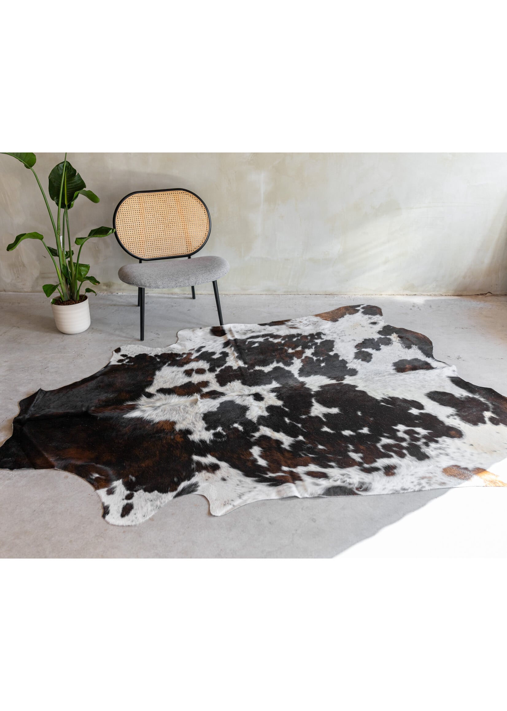Van Buren sinds 1861 Koeienhuid Driekleur - GR1 (3-4m²) - 235x180 cm - KH-087