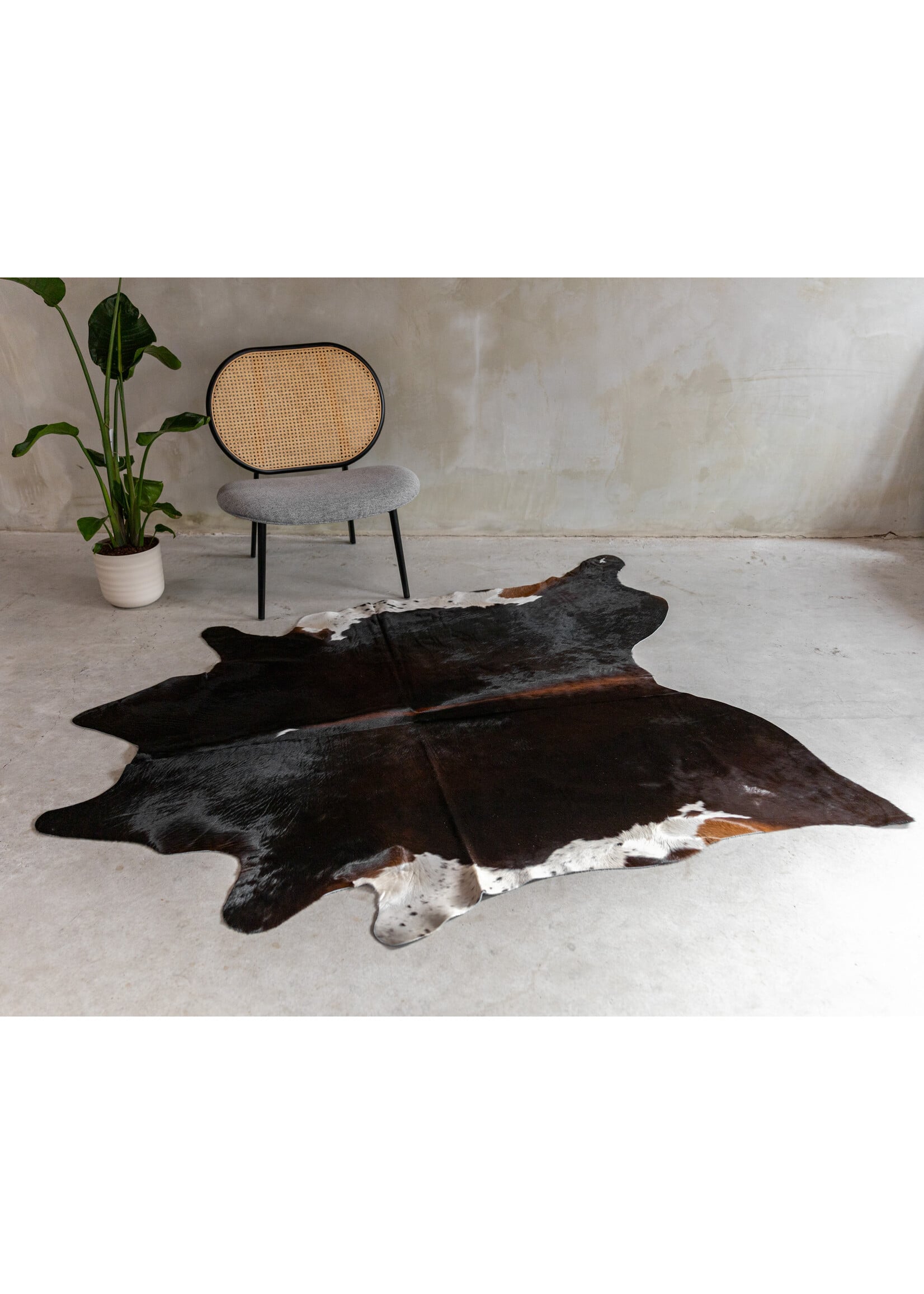 Van Buren sinds 1861 Koeienhuid Assorted - GR2 (2-3m²) - 170x165 cm - KH-103