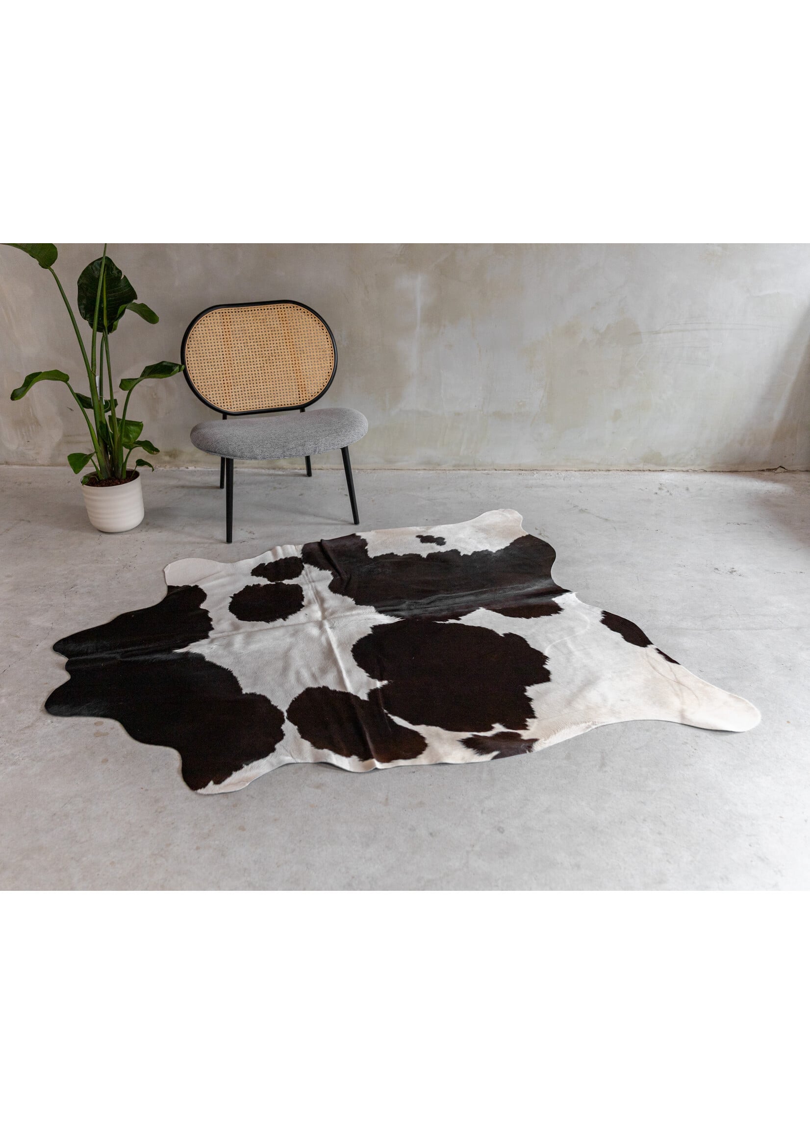 Van Buren sinds 1861 Koeienhuid Assorted - GR2 (2-3m²) - 180x153 cm - KH-107