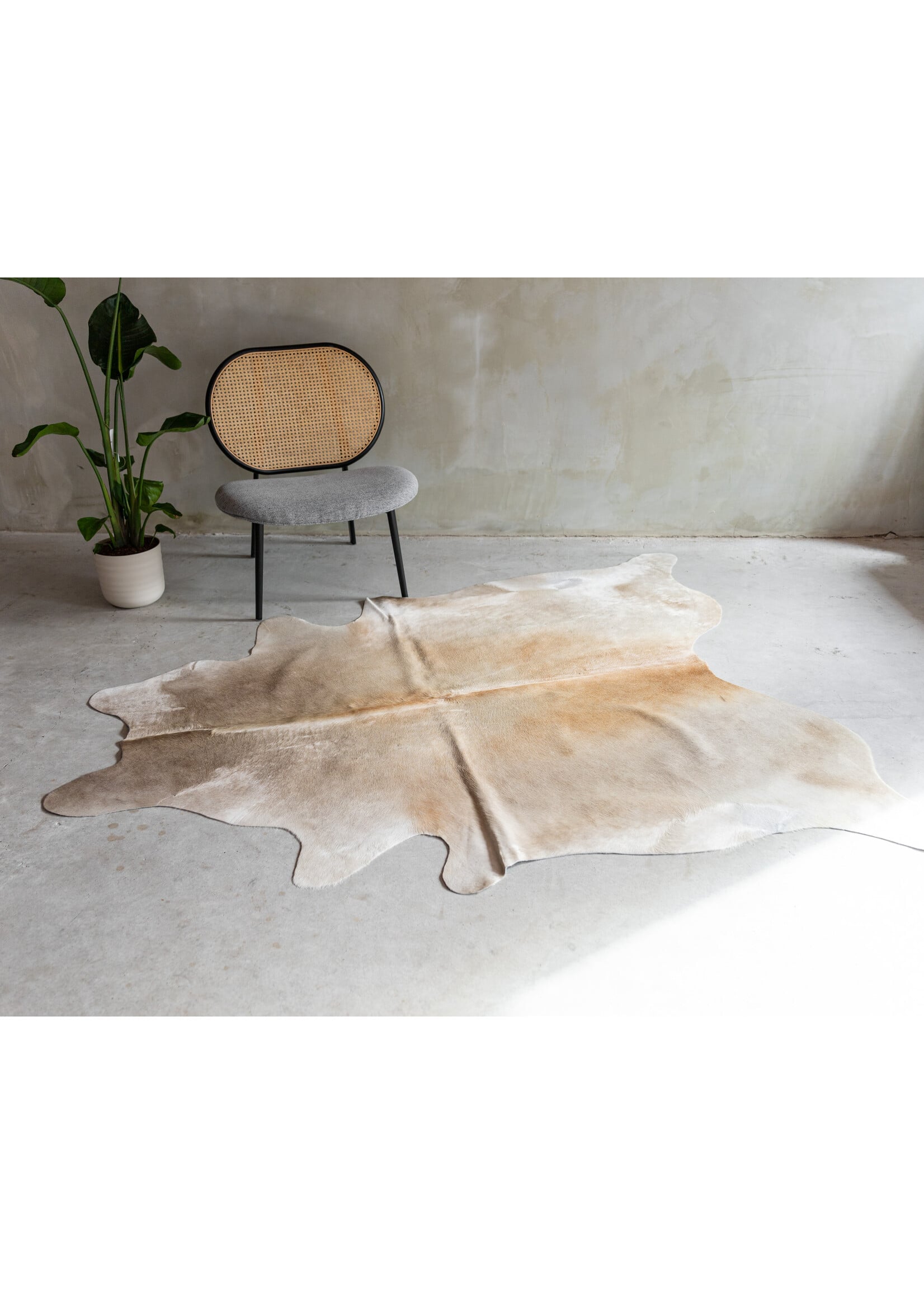 Van Buren sinds 1861 Koeienhuid Champagne - GR1 (3-4m²) - 190x164 cm - KH-094