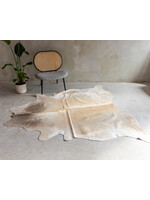 Van Buren sinds 1861 Kuhfell Champagne - GR1 - KH-095
