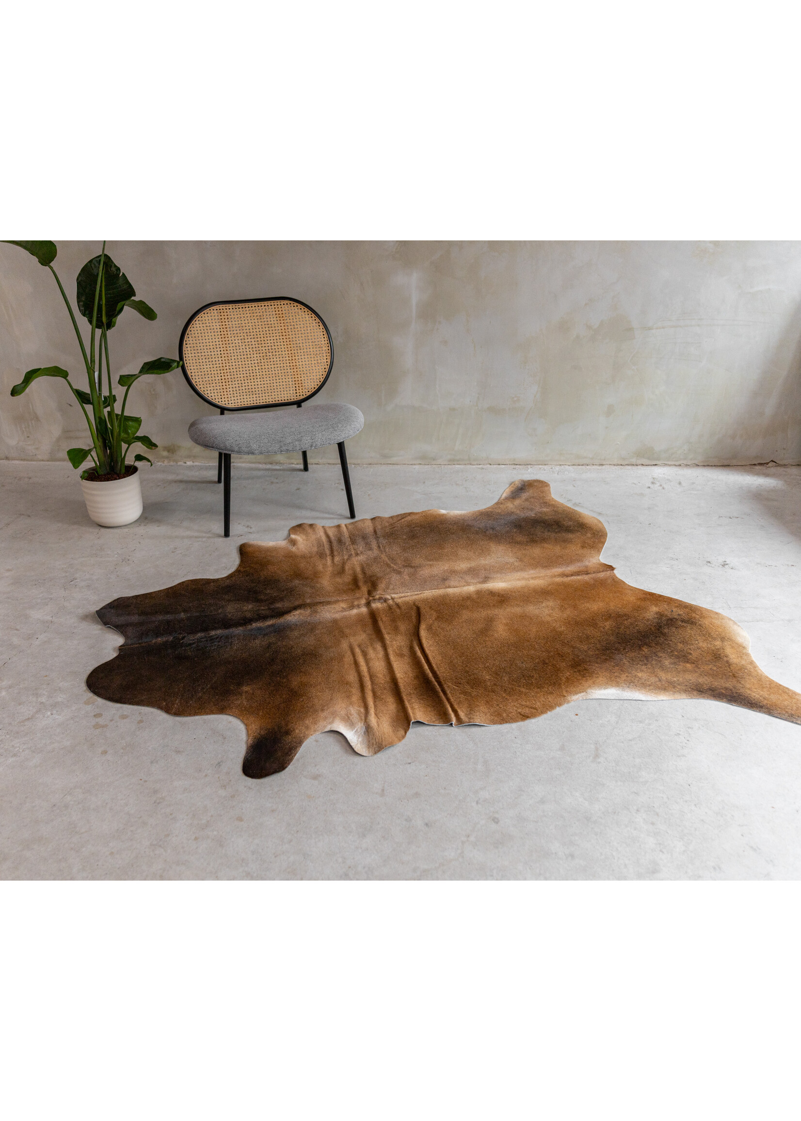 Van Buren sinds 1861 Koeienhuid Assorted - GR2 - 190x153 cm - KH-112