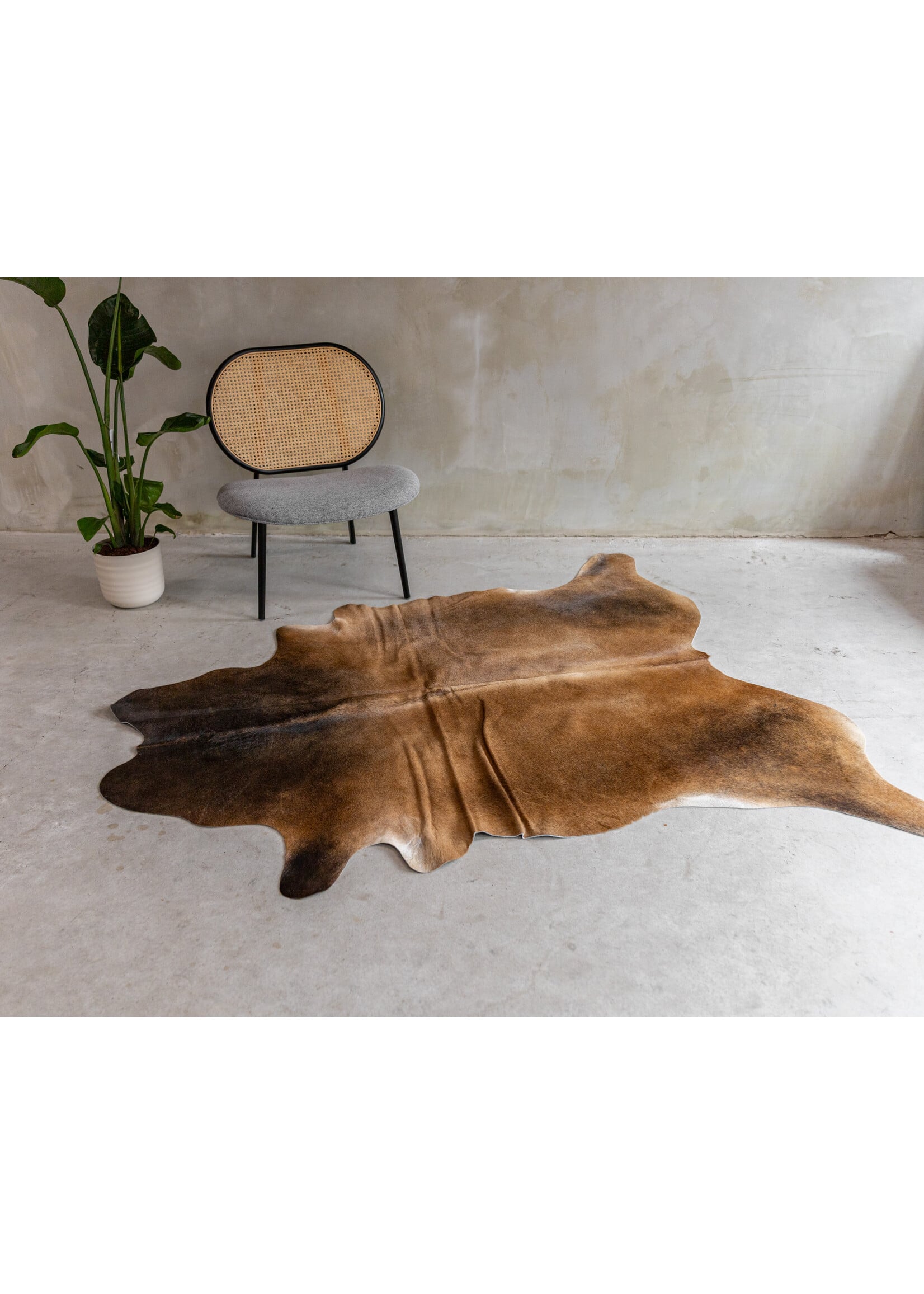Van Buren sinds 1861 Koeienhuid Assorted - GR2 (2-3m²) - 190x153 cm - KH-112