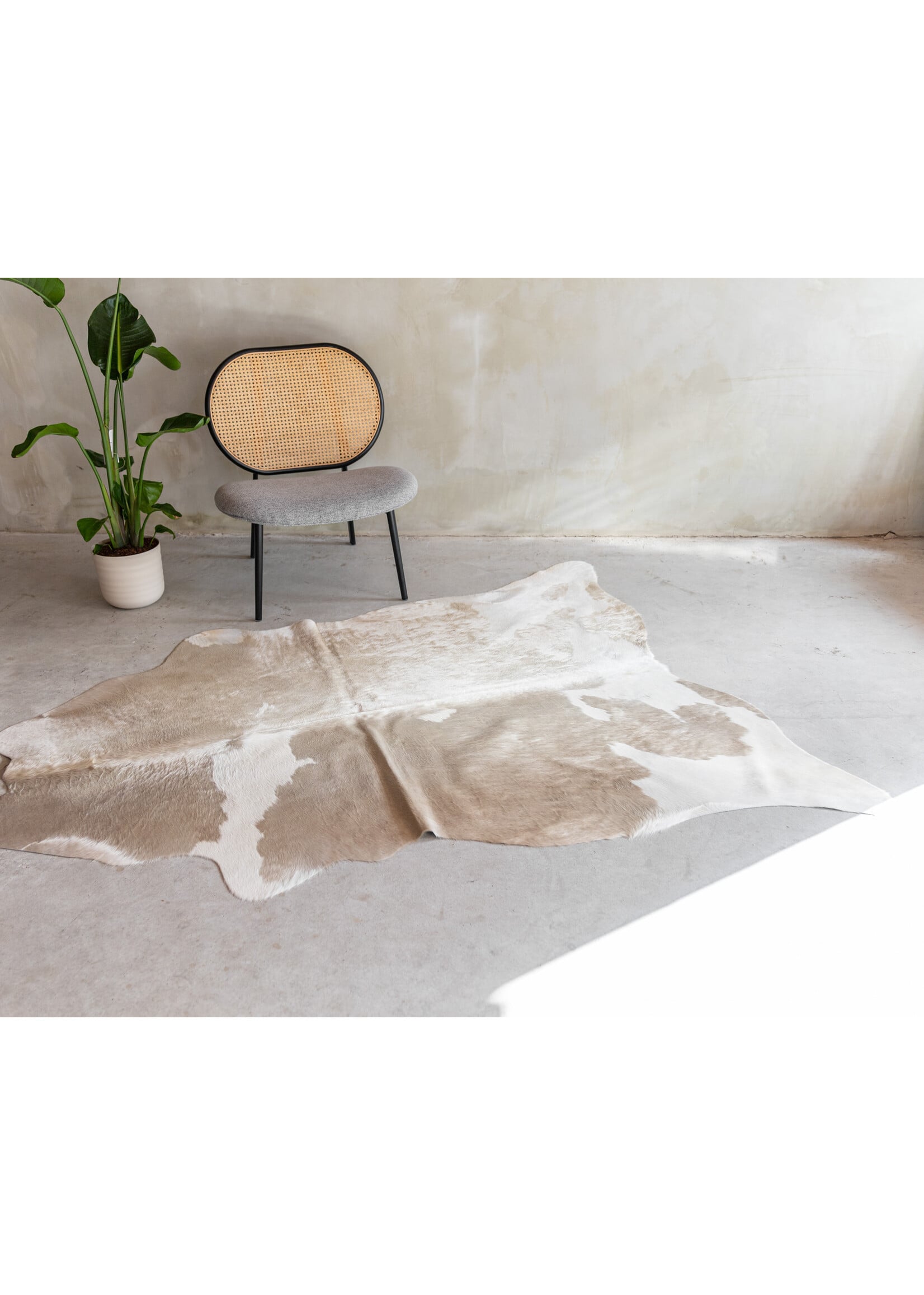 Van Buren sinds 1861 Kuhfell Champagne - GR1 - 203x143 cm - KH-096