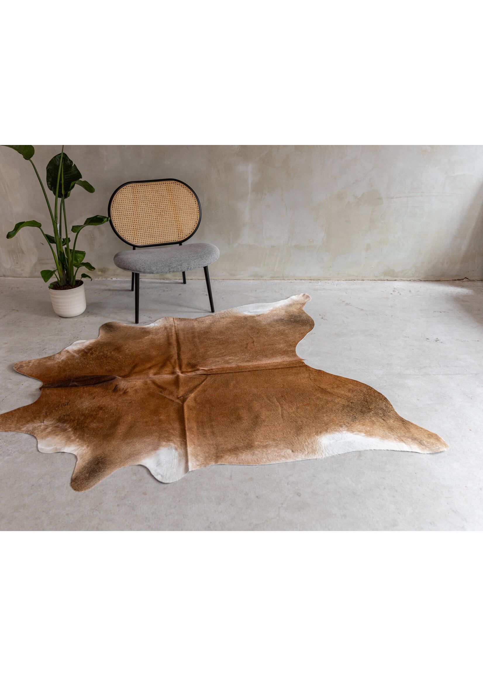 Van Buren sinds 1861 Koeienhuid Assorted - GR2 (2-3m²) - 170x165 cm - KH-109