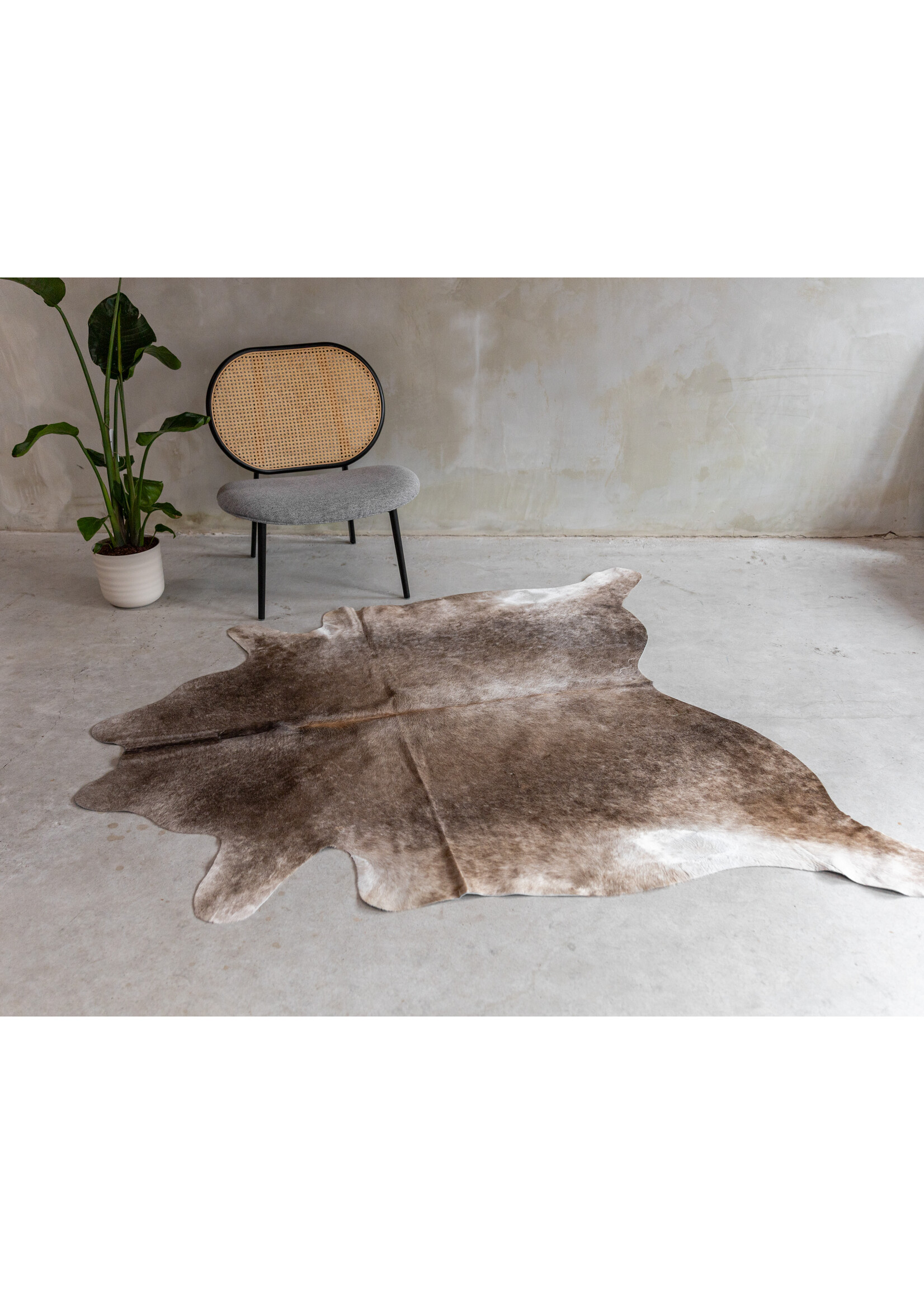 Van Buren sinds 1861 Koeienhuid Assorted - GR2 - 173x170 cm - KH-106