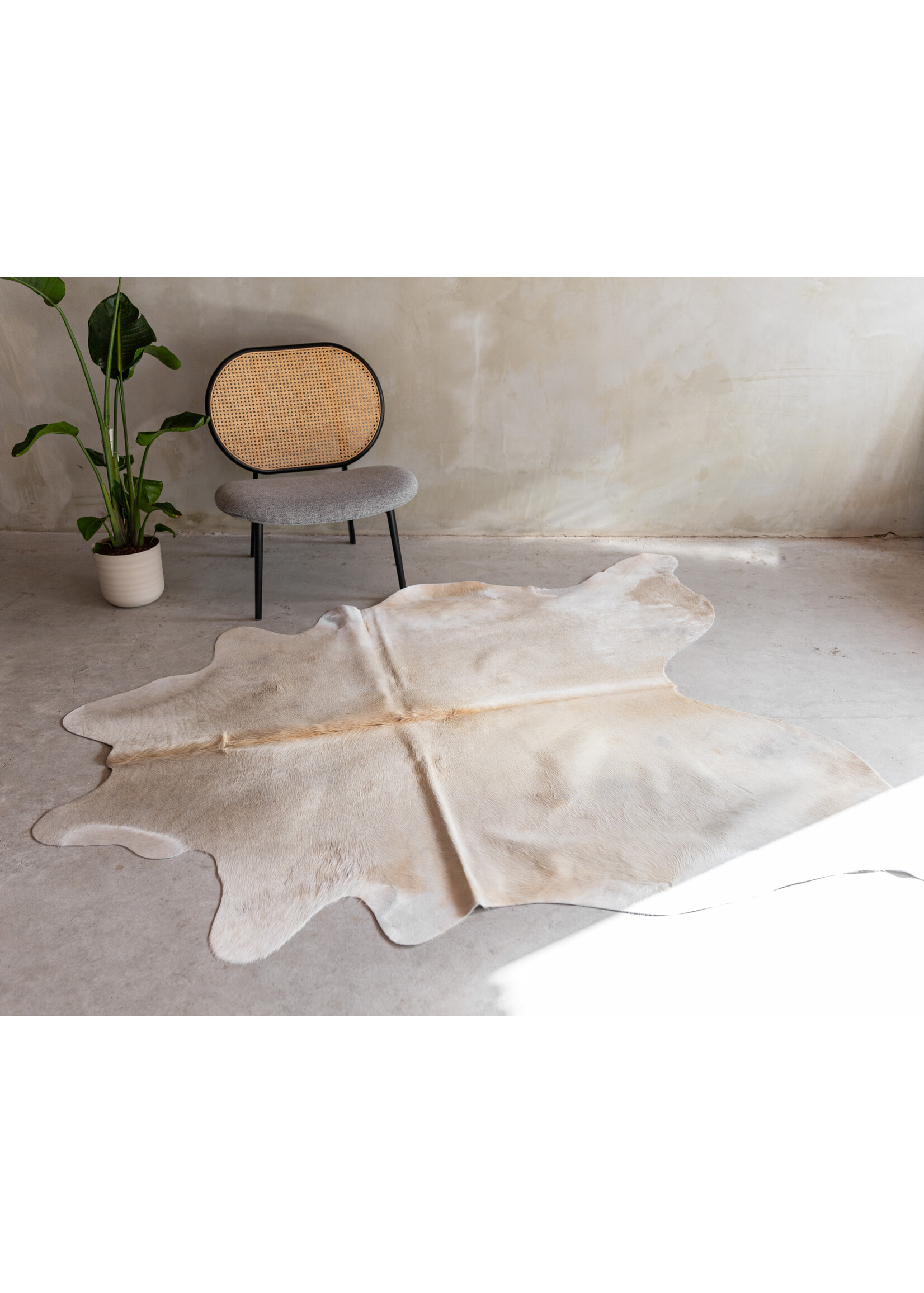 Van Buren sinds 1861 Koeienhuid Champagne - GR1 - 200x190 cm - KH-099