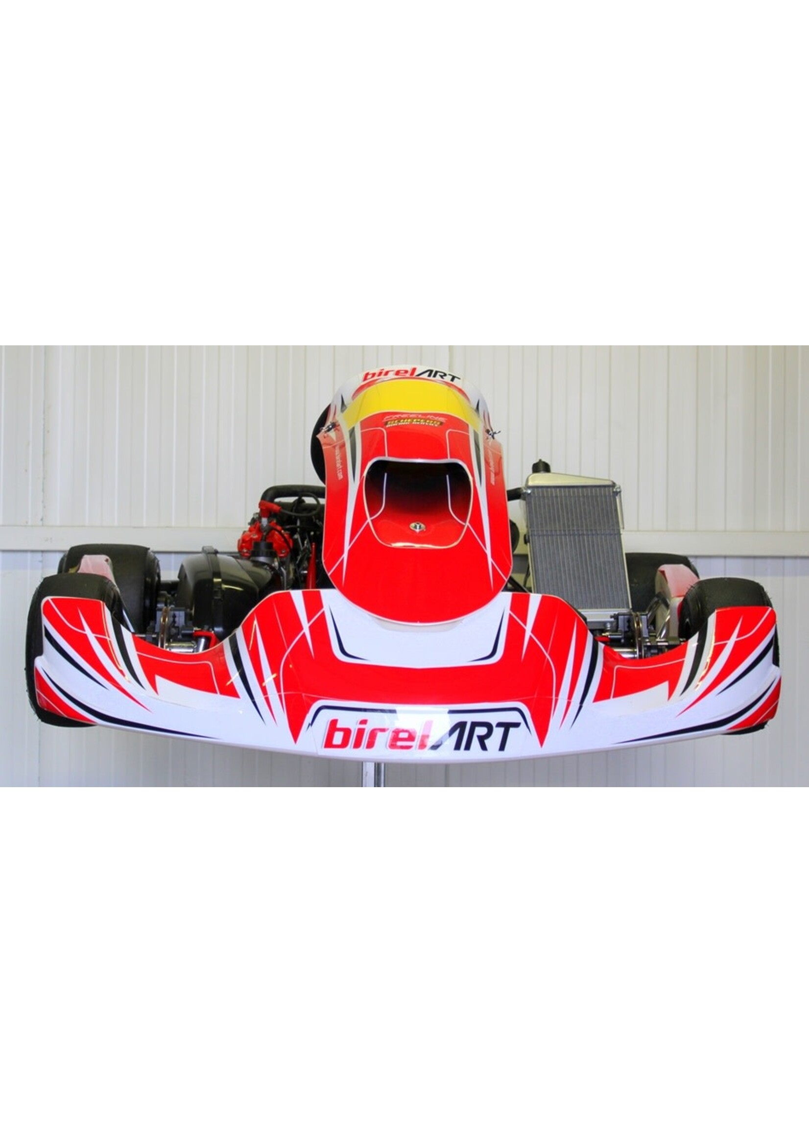 birel BIREL Kart Met ROTAX DD2 Motor