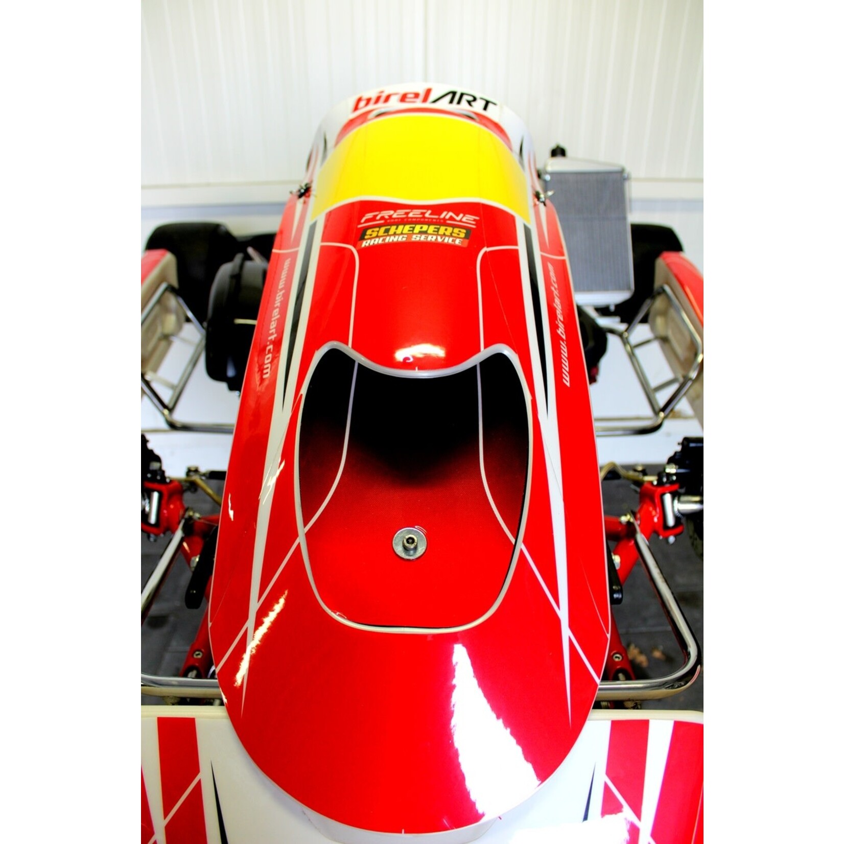 birel BIREL Kart With ROTAX DD2 Engine