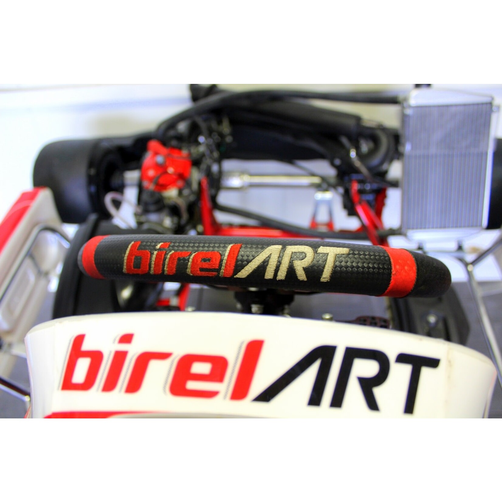 birel BIREL Kart With ROTAX DD2 Engine