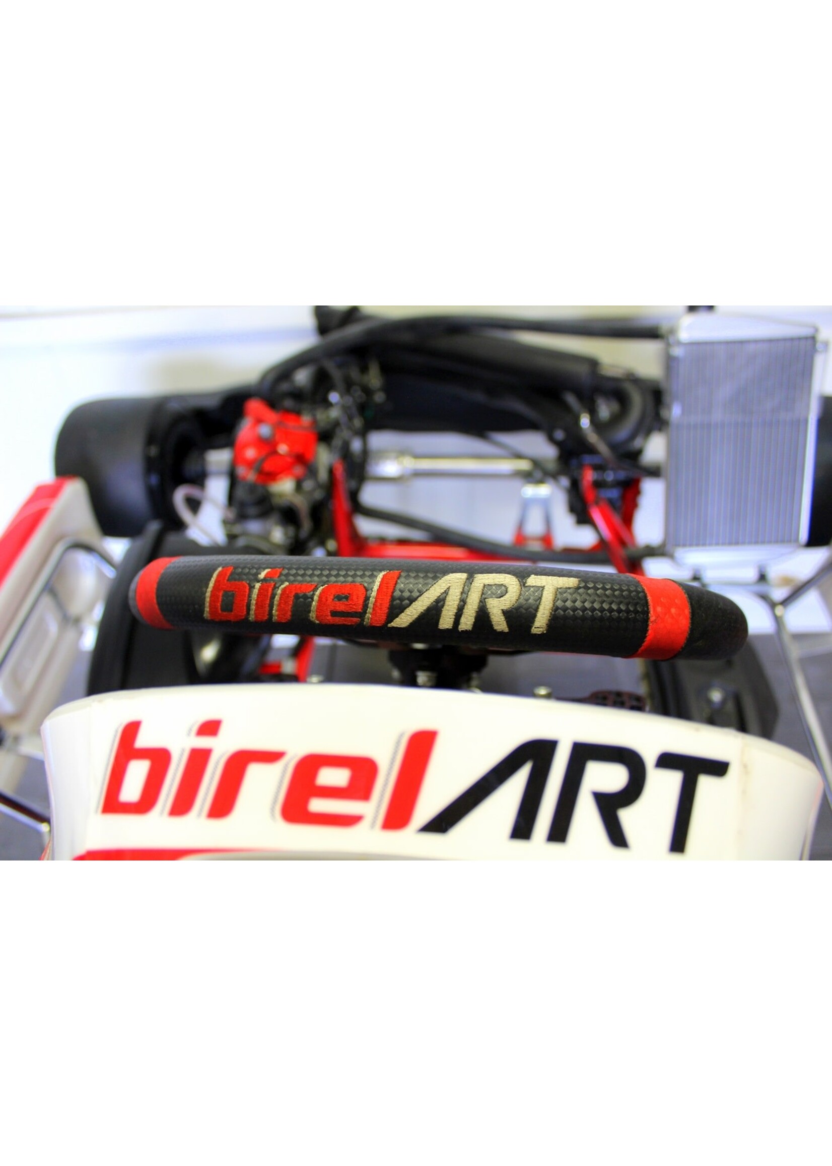 birel BIREL Kart Met ROTAX DD2 Motor