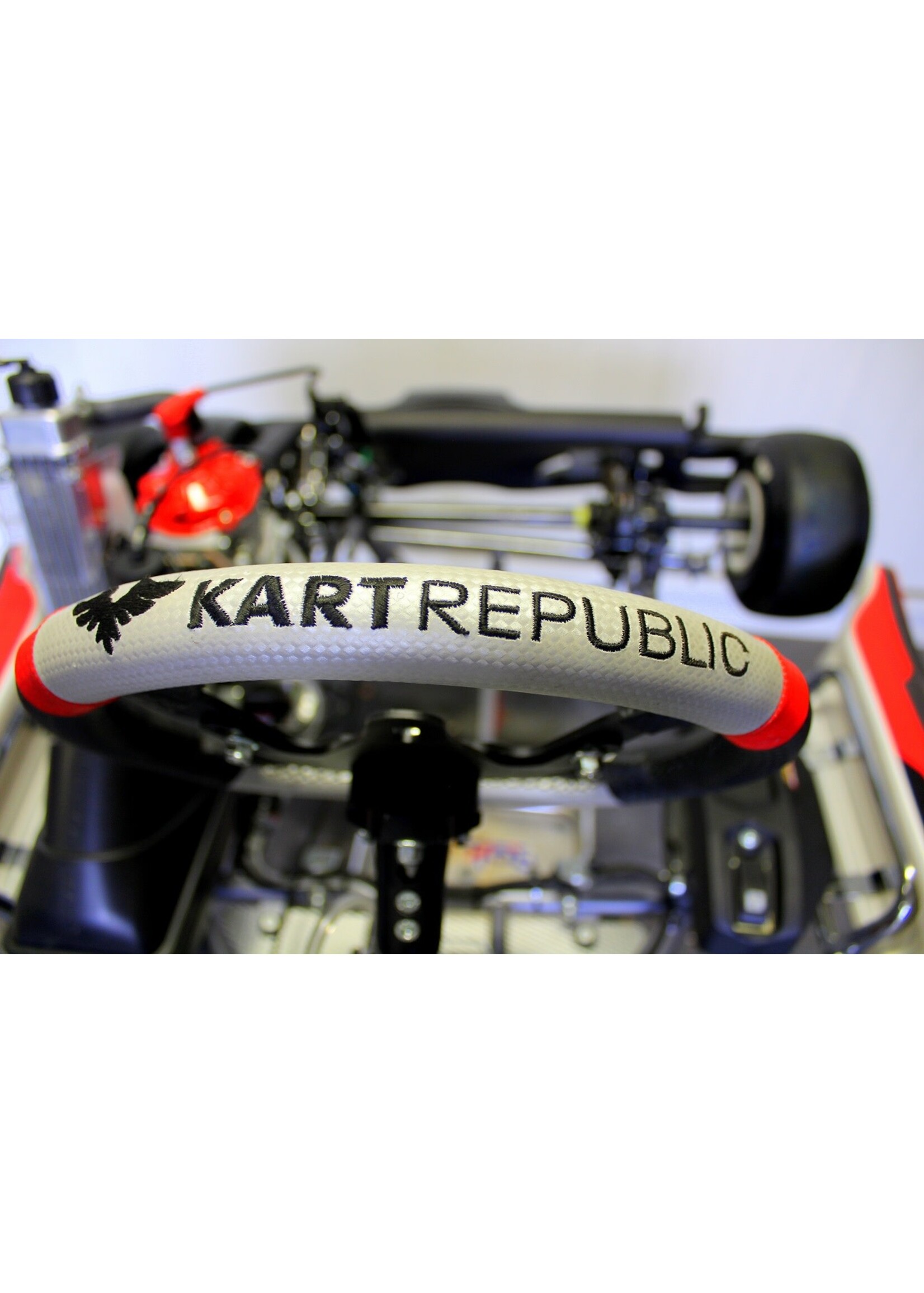 Kart Republic Kart Republic Mini Kart met Rotax Mini Max EVO II Motor