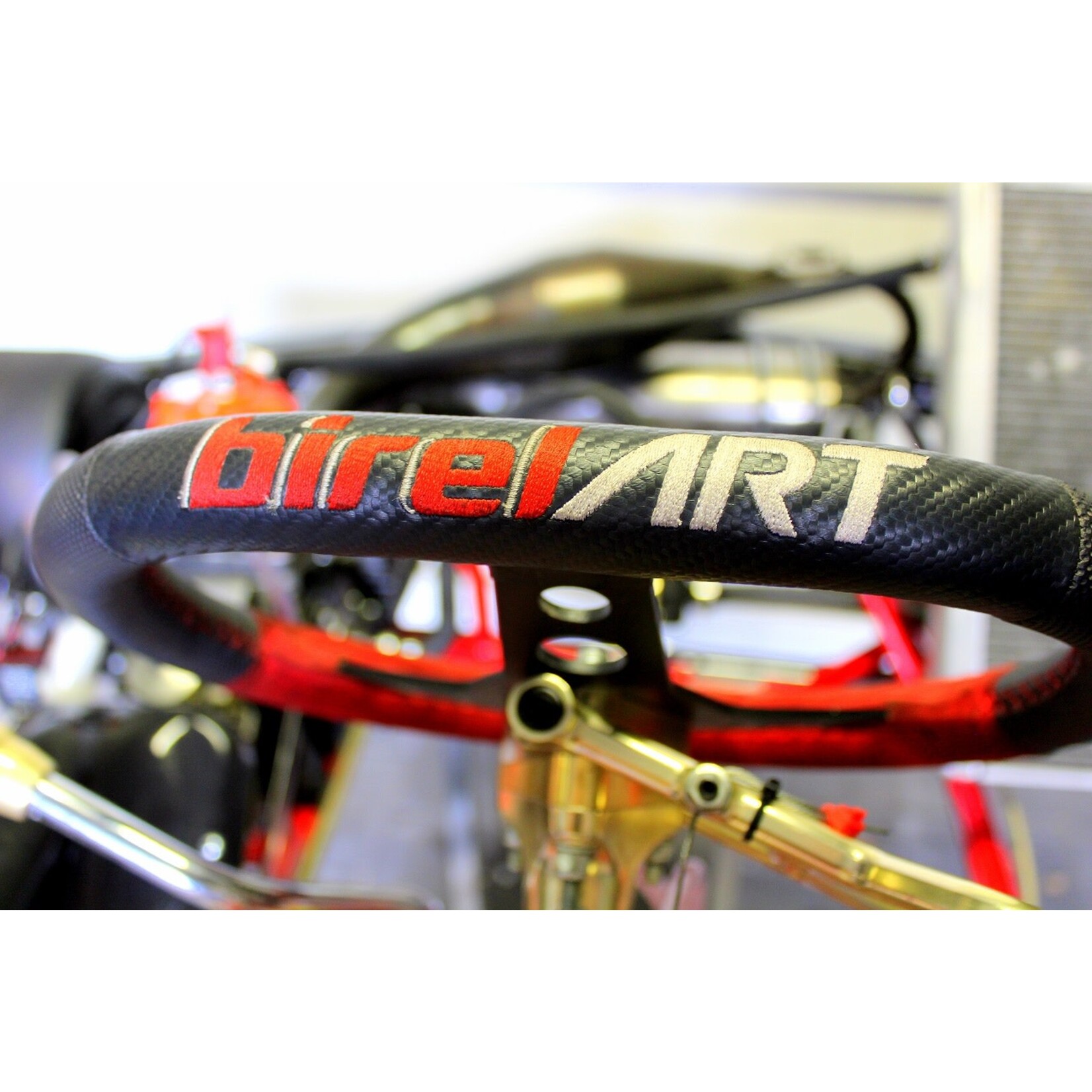 birel BIREL CRY30 gear kart with Modena KK1 Engine