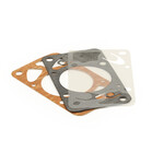 Rotax Gasoline Pump Overhaul Kit
